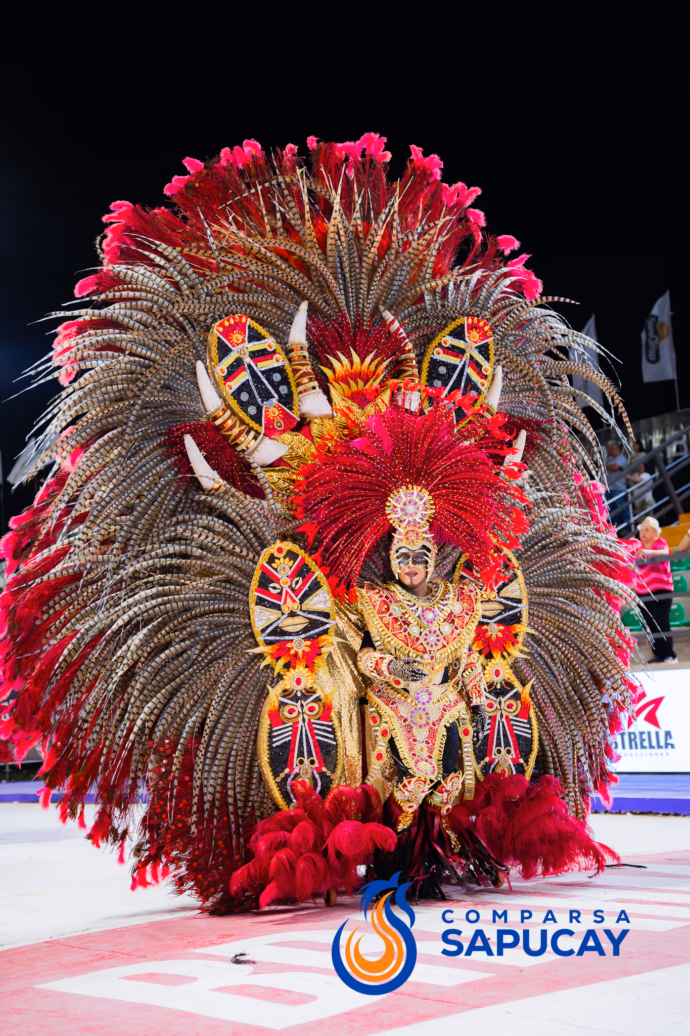 Galería de fotos del corso del Carnaval 2025