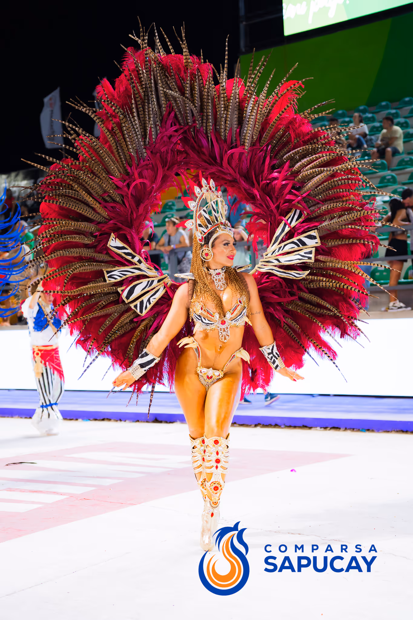 Galería de fotos del corso del Carnaval 2025