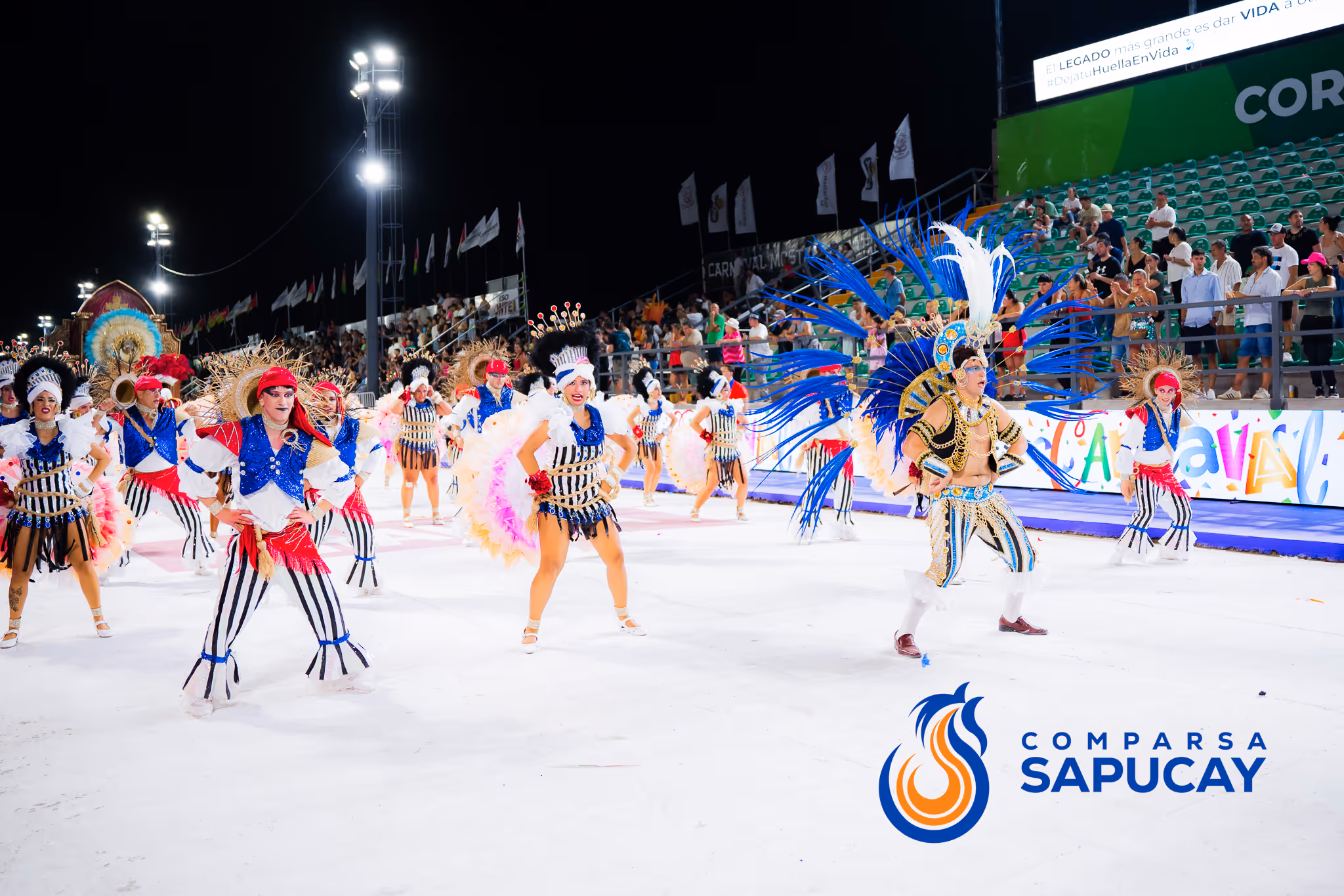 Galería de fotos del corso del Carnaval 2025