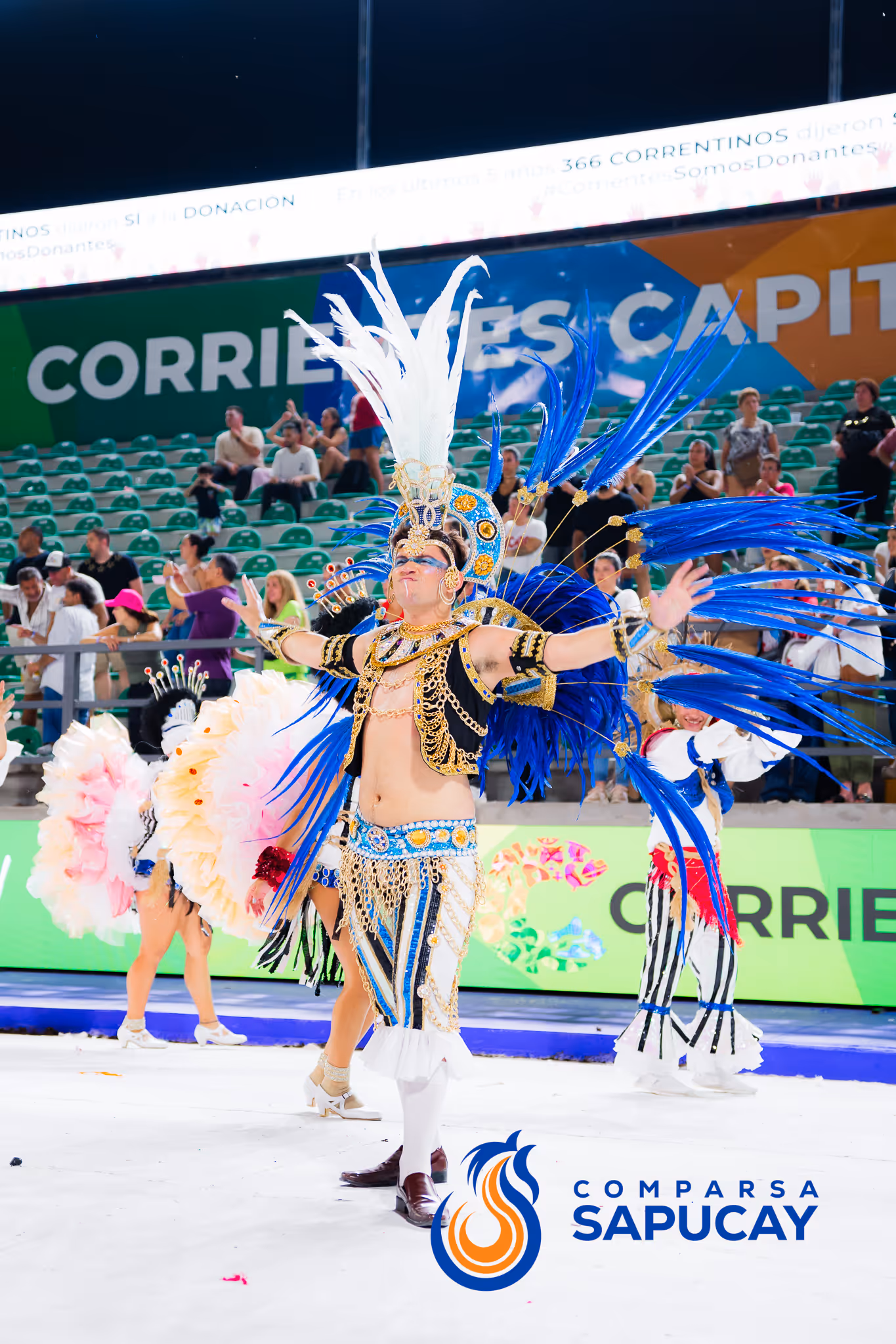 Galería de fotos del corso del Carnaval 2025