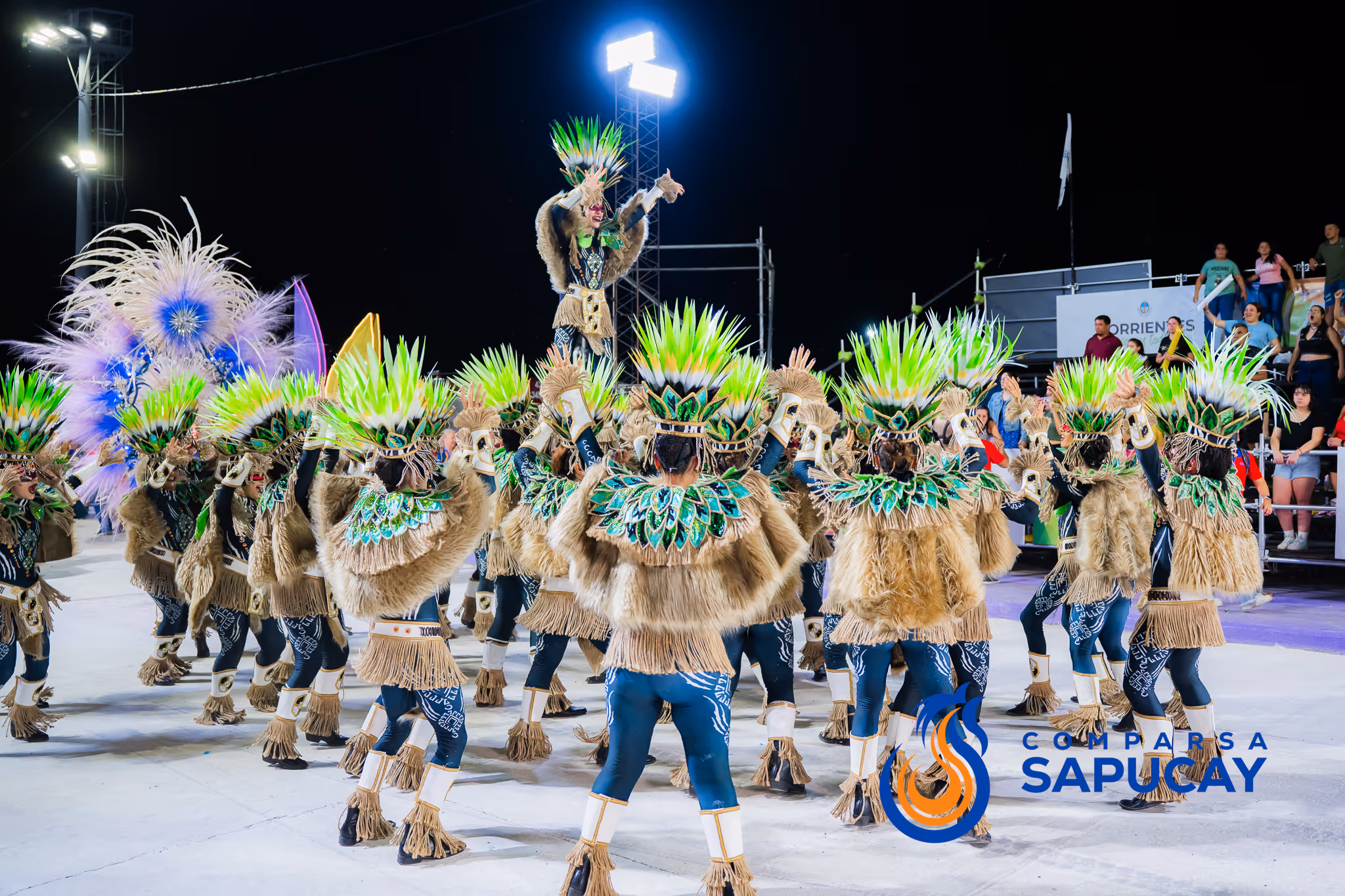 Galería de fotos del corso del Carnaval 2025