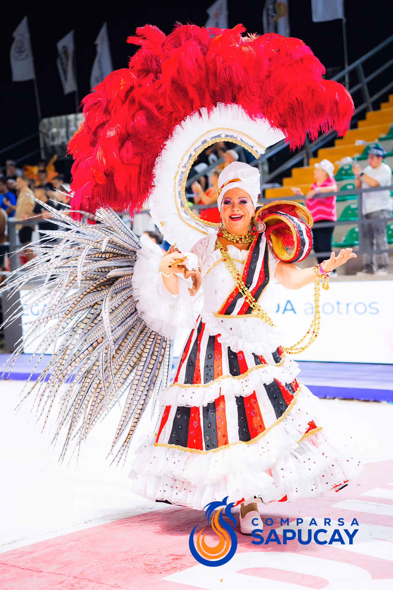 Galería de fotos del corso del Carnaval 2025