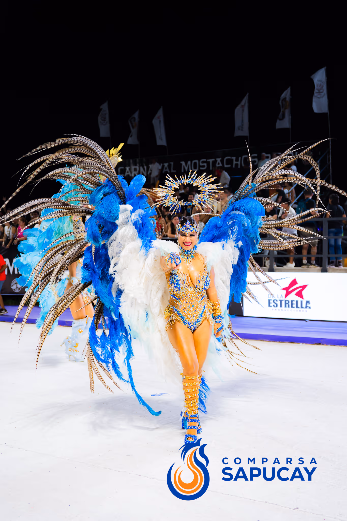 Galería de fotos del corso del Carnaval 2025