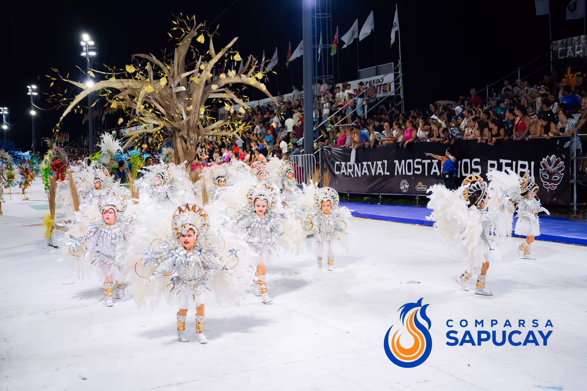 Galería de fotos del corso del Carnaval 2025