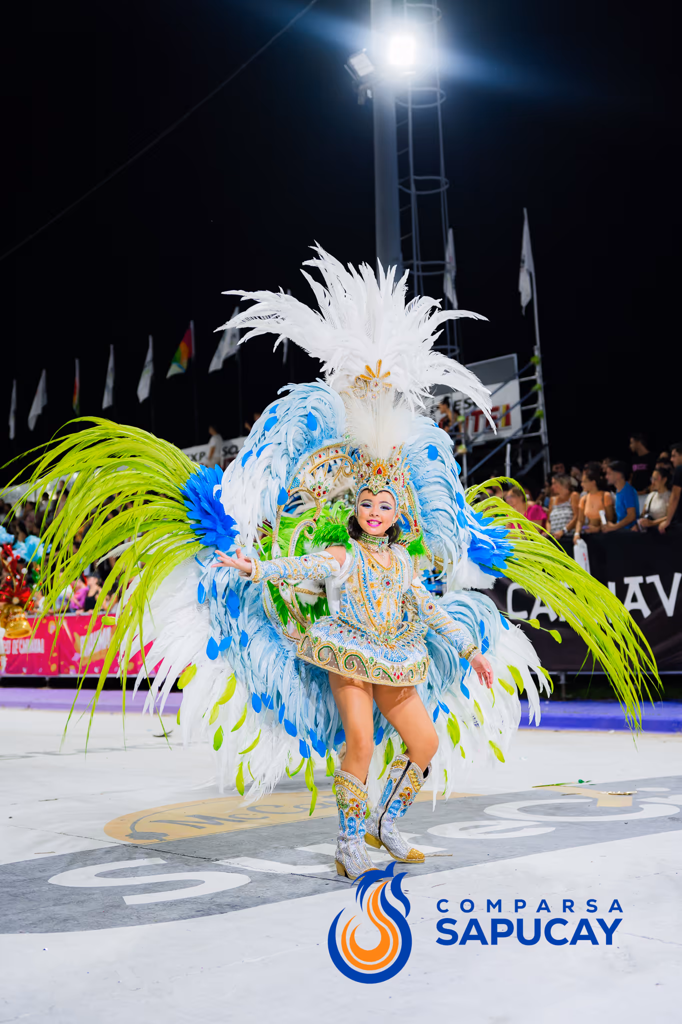 Galería de fotos del corso del Carnaval 2025