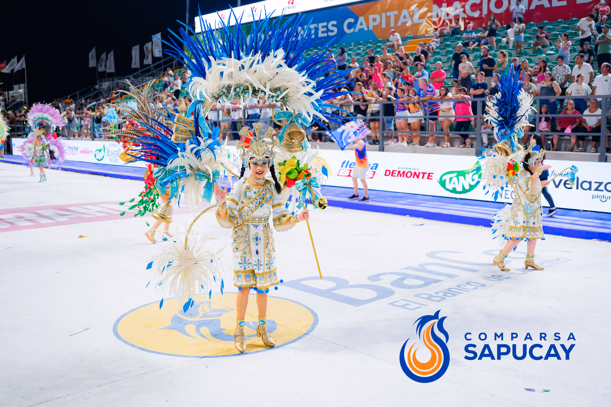 Galería de fotos del corso del Carnaval 2025