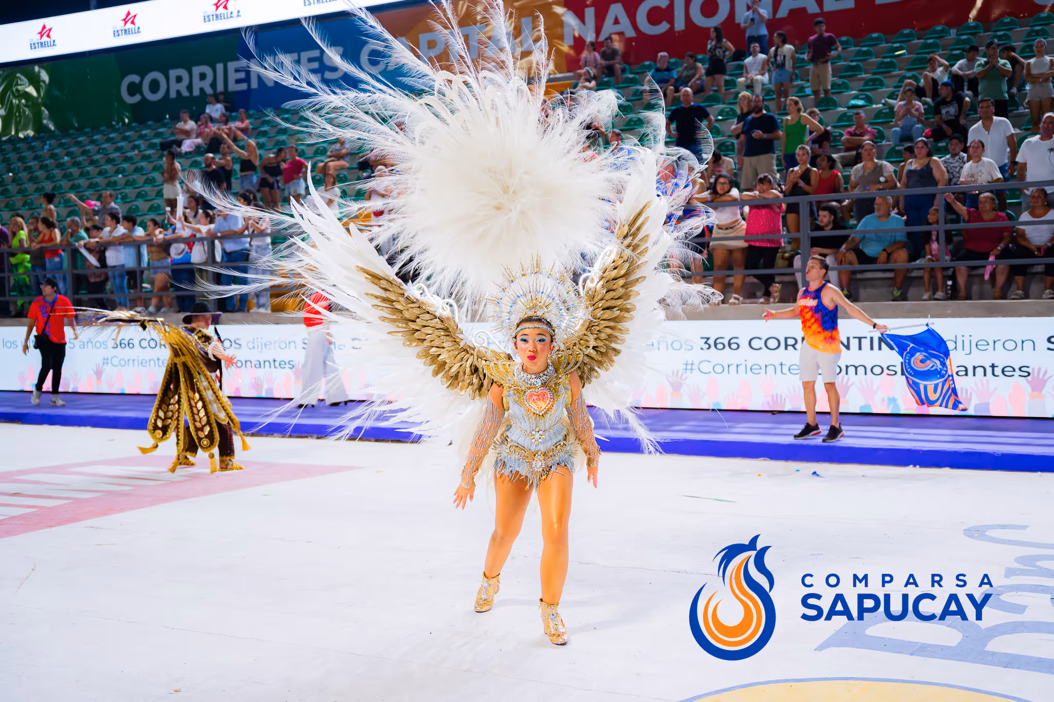 Galería de fotos del corso del Carnaval 2025