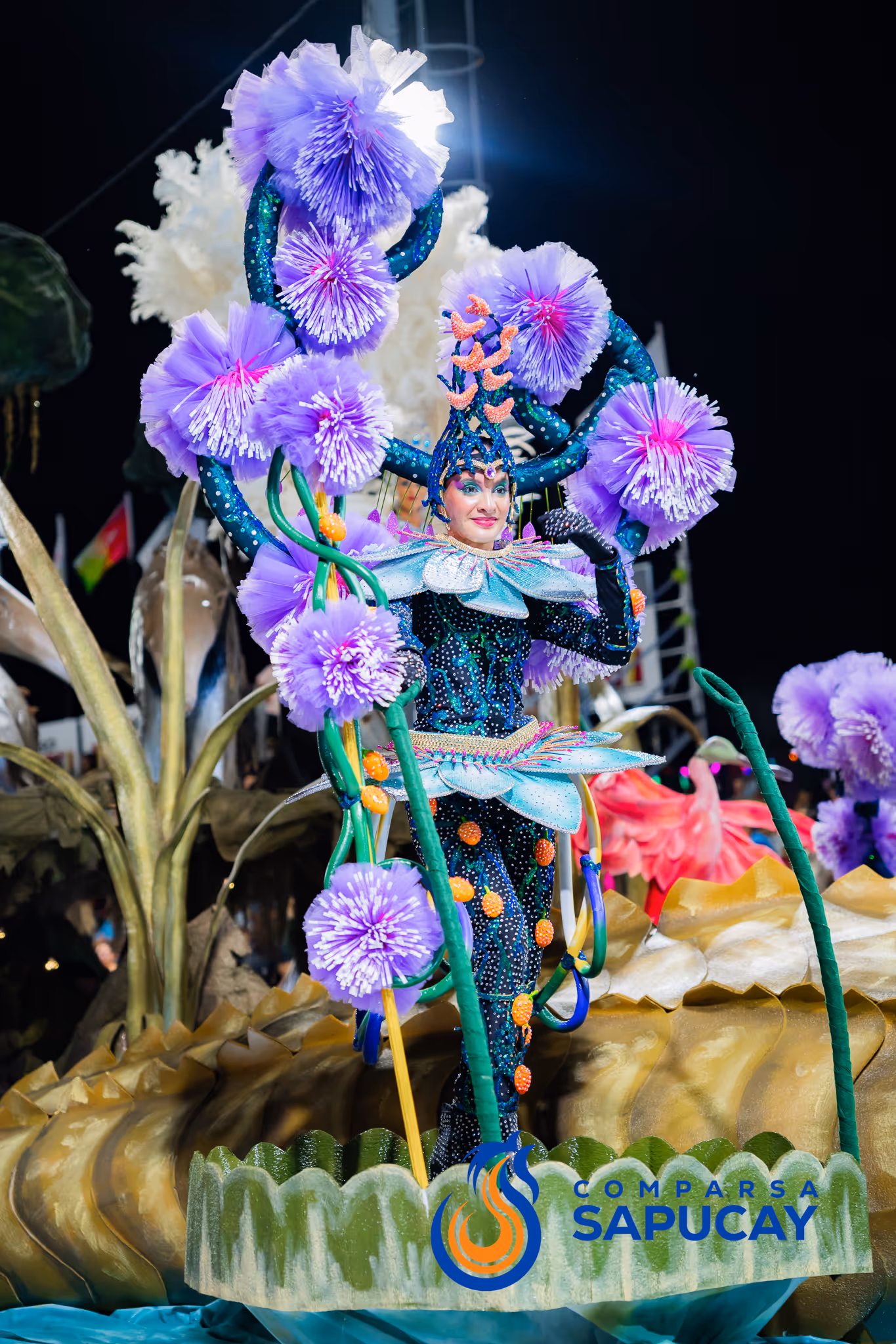 Galería de fotos del corso del Carnaval 2025