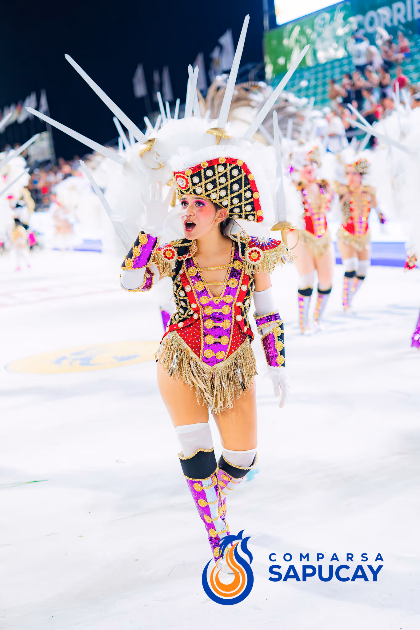 Galería de fotos del corso del Carnaval 2025