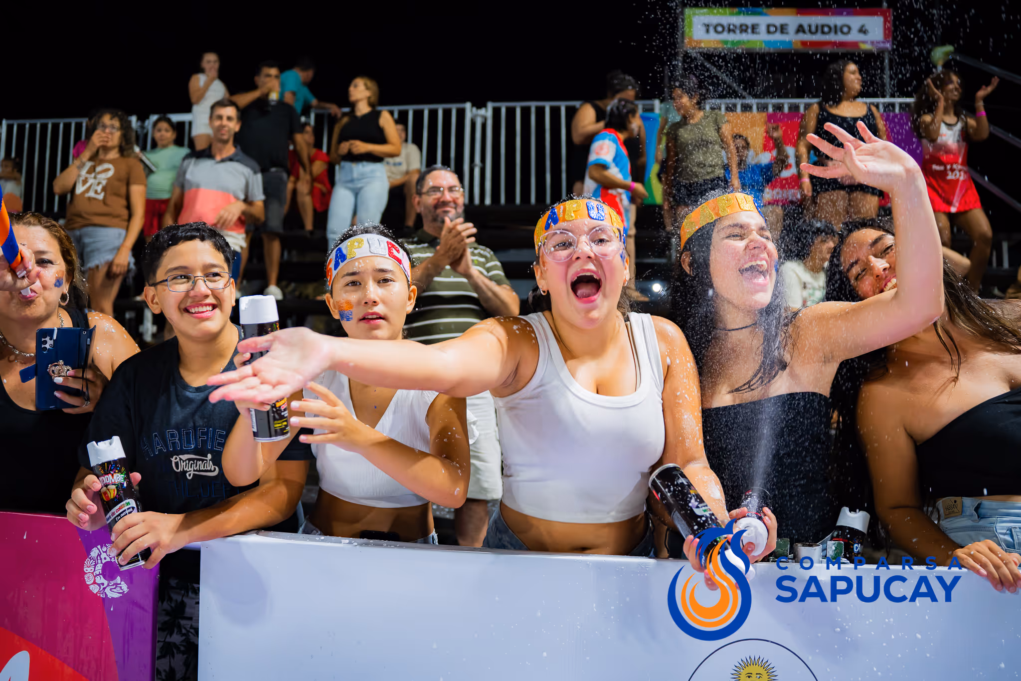 Galería de fotos del corso del Carnaval 2025