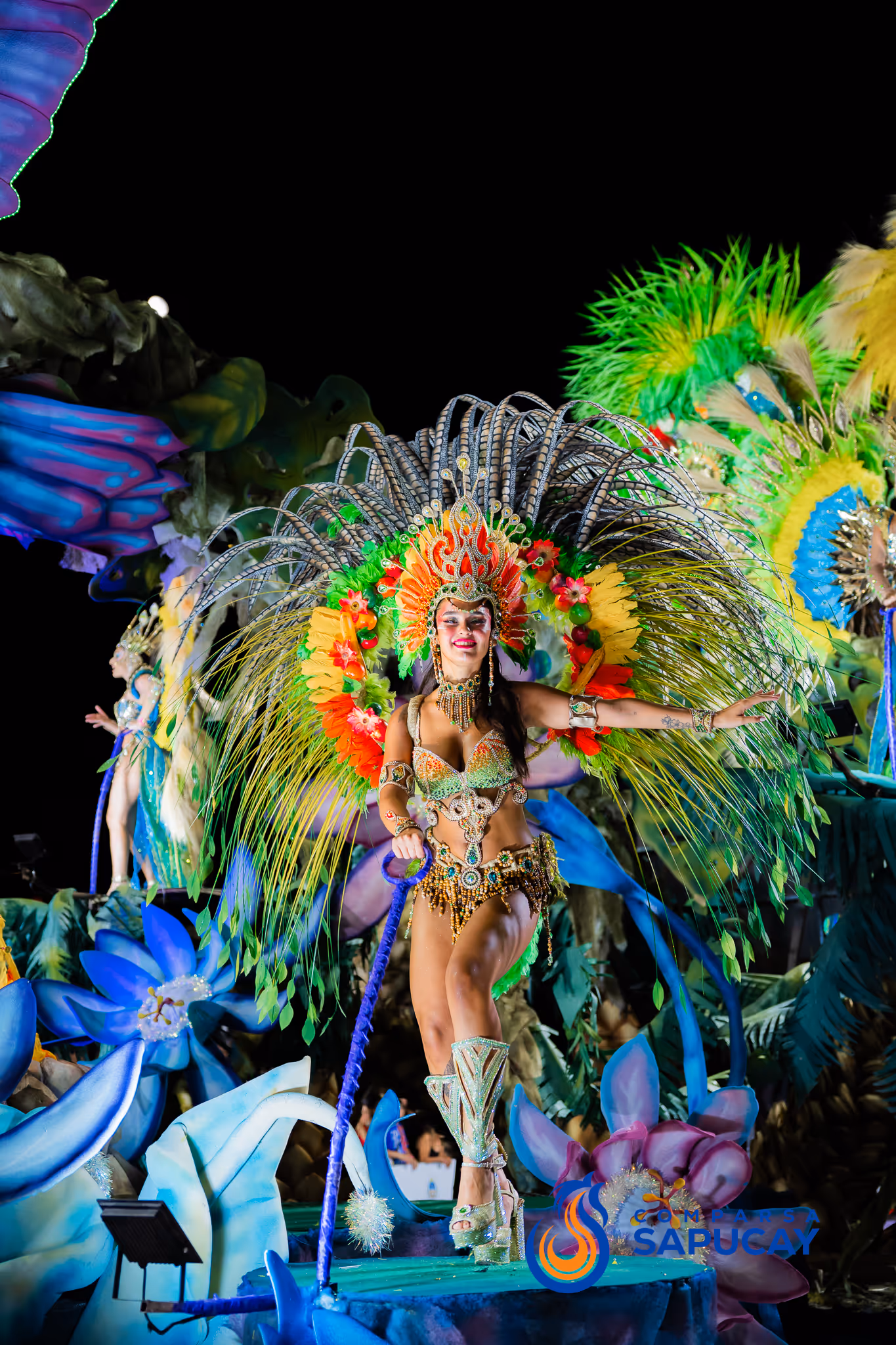 Galería de fotos del corso del Carnaval 2025