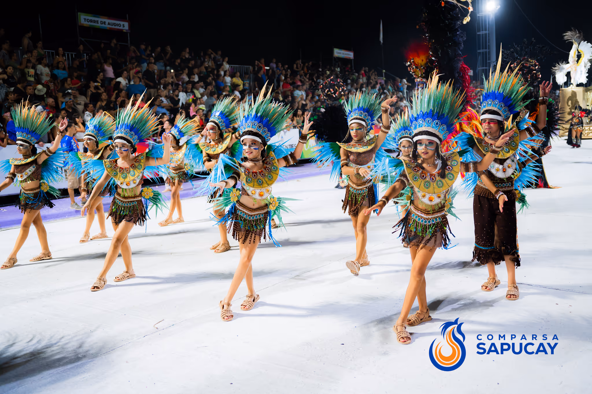 Galería de fotos del corso del Carnaval 2025