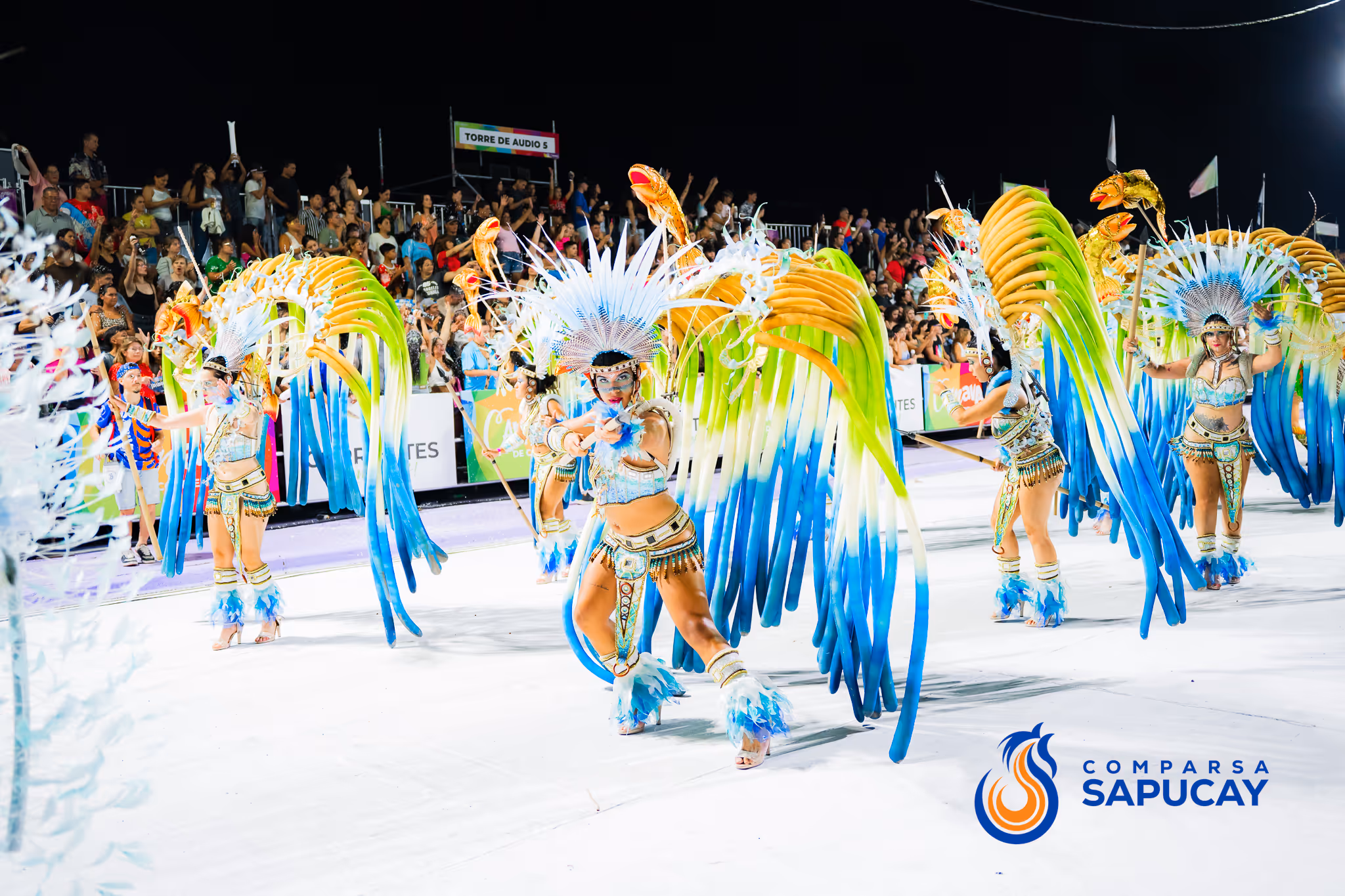 Galería de fotos del corso del Carnaval 2025