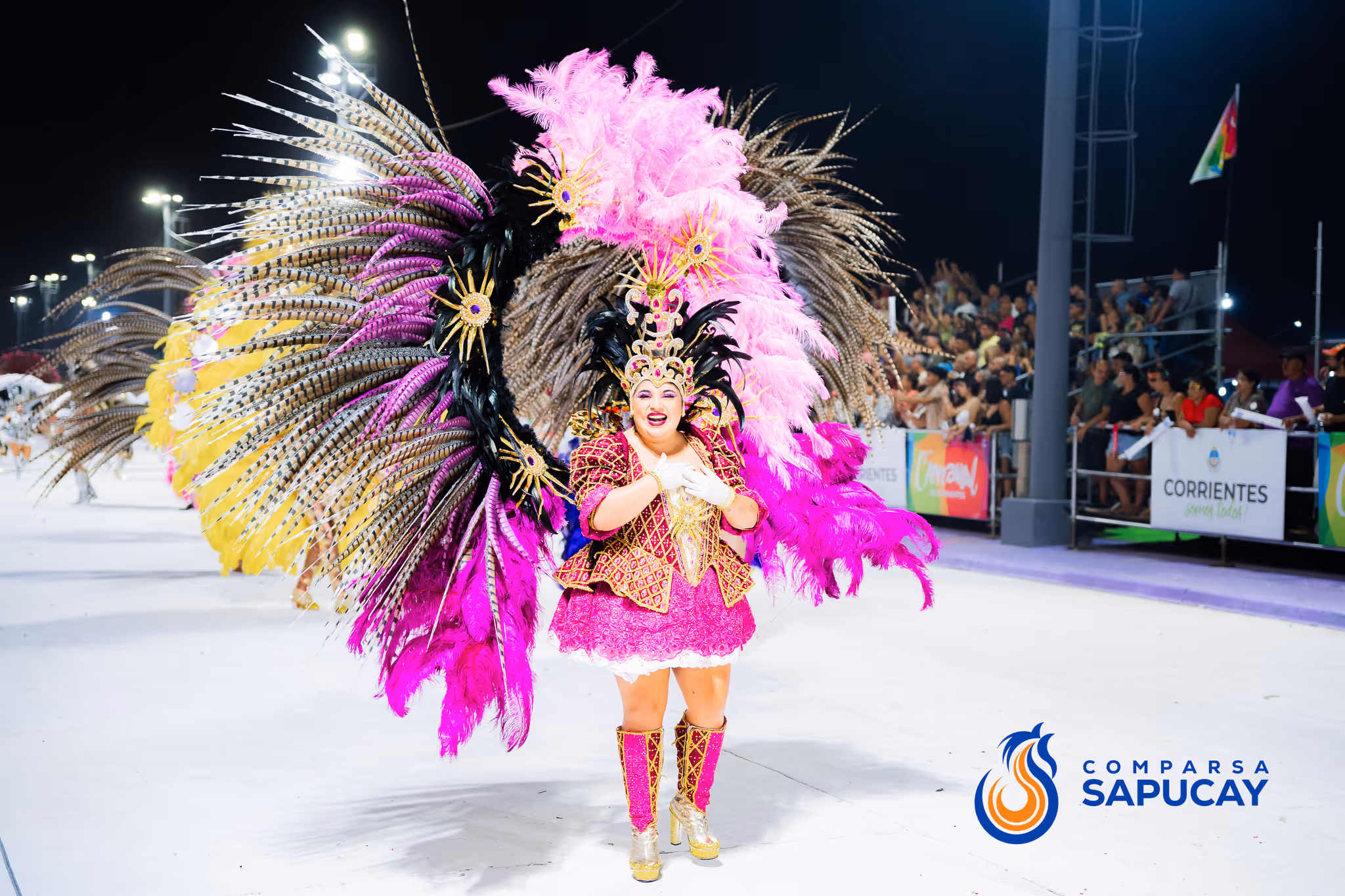 Galería de fotos del corso del Carnaval 2025