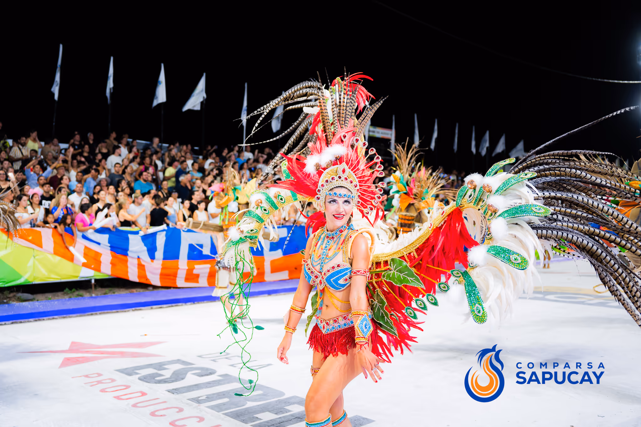 Galería de fotos del corso del Carnaval 2025