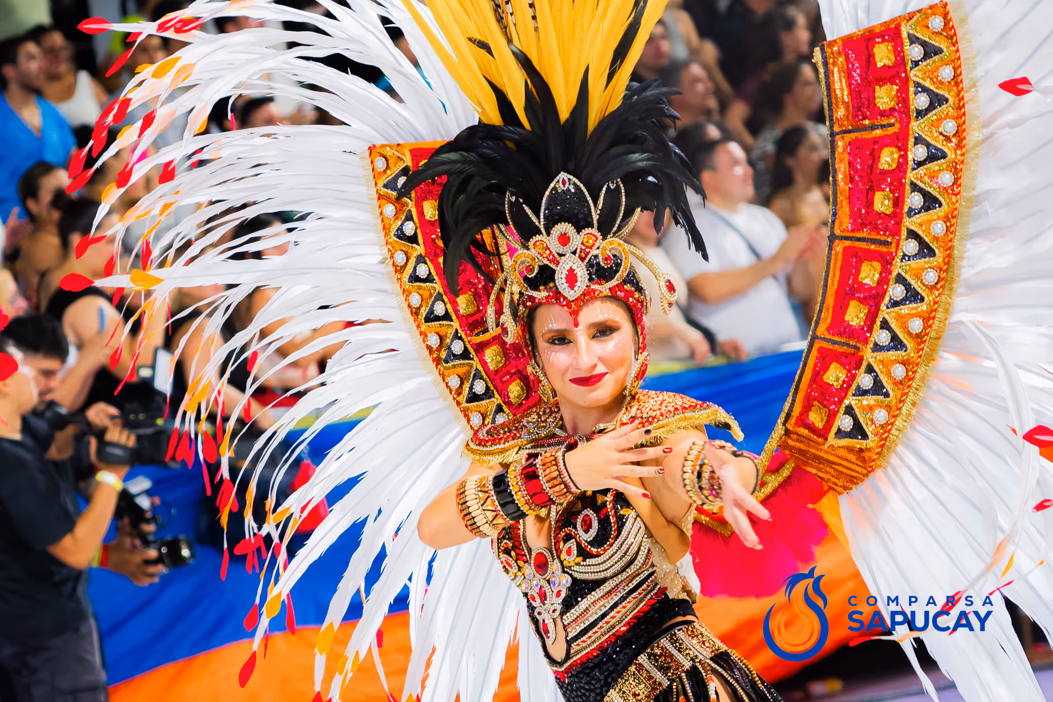 Galería de fotos del corso del Carnaval 2025