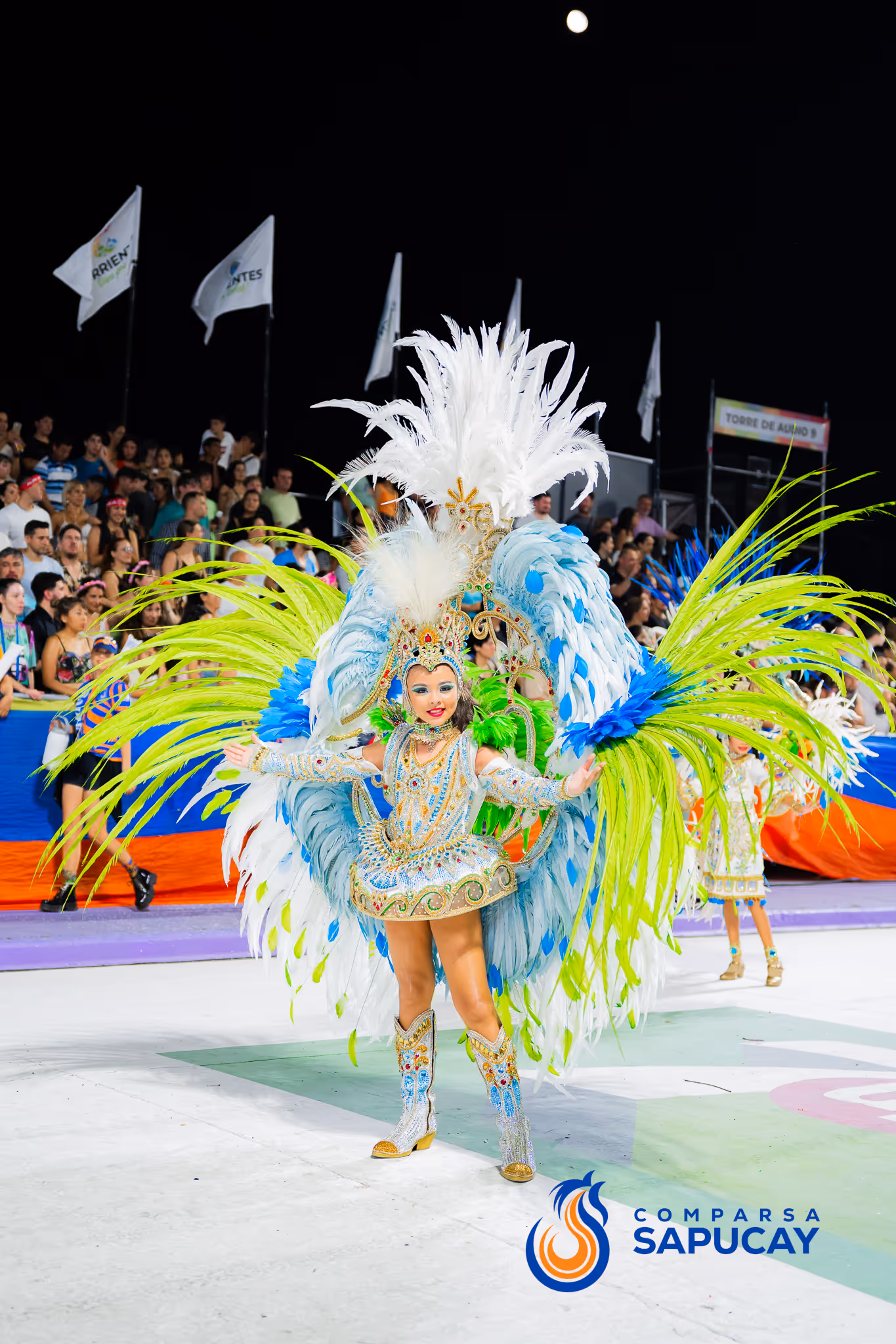 Galería de fotos del corso del Carnaval 2025