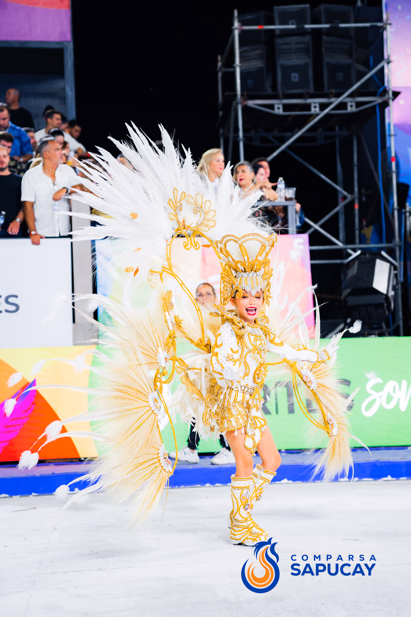 Galería de fotos del corso del Carnaval 2025