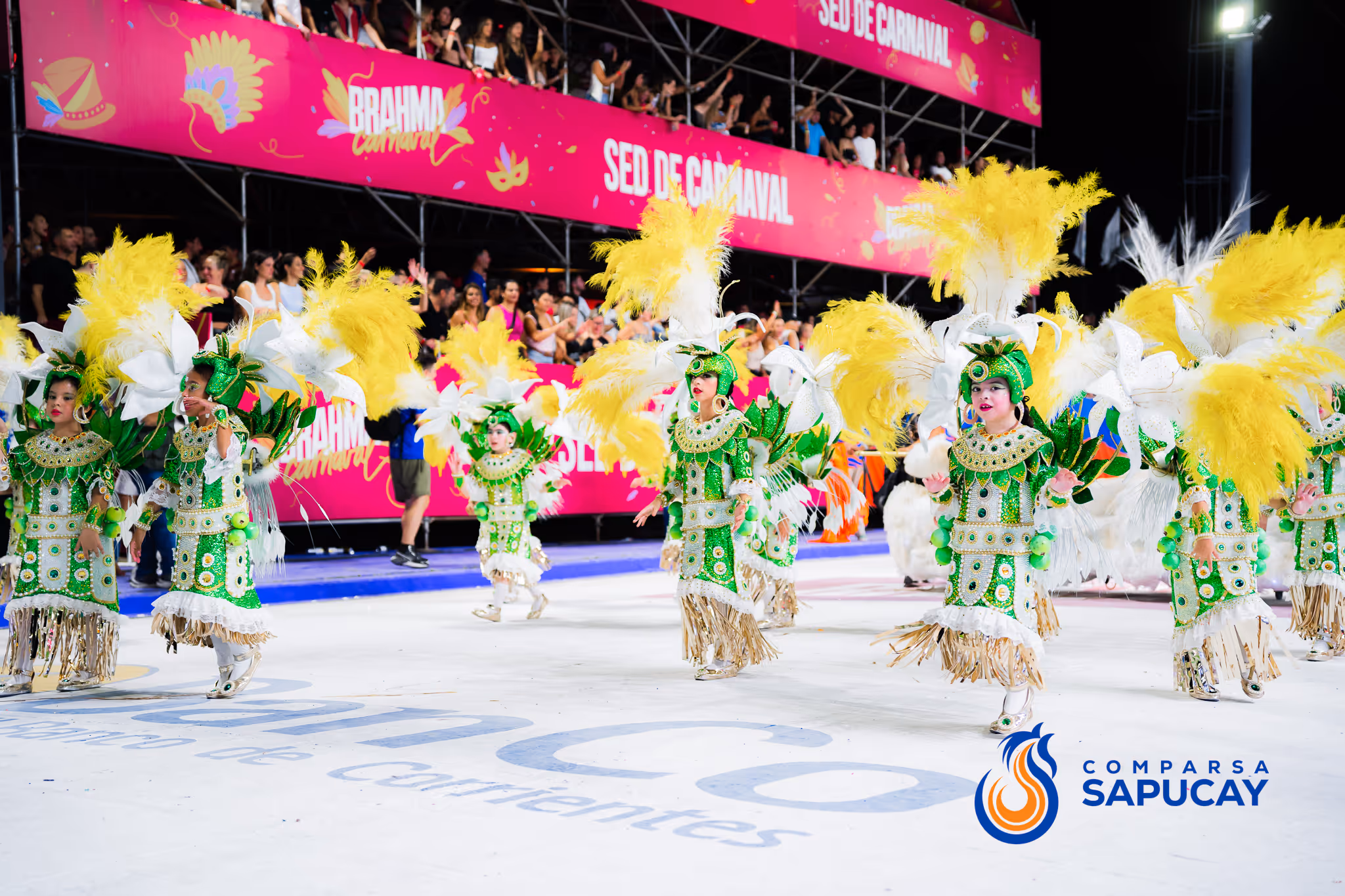 Galería de fotos del corso del Carnaval 2025