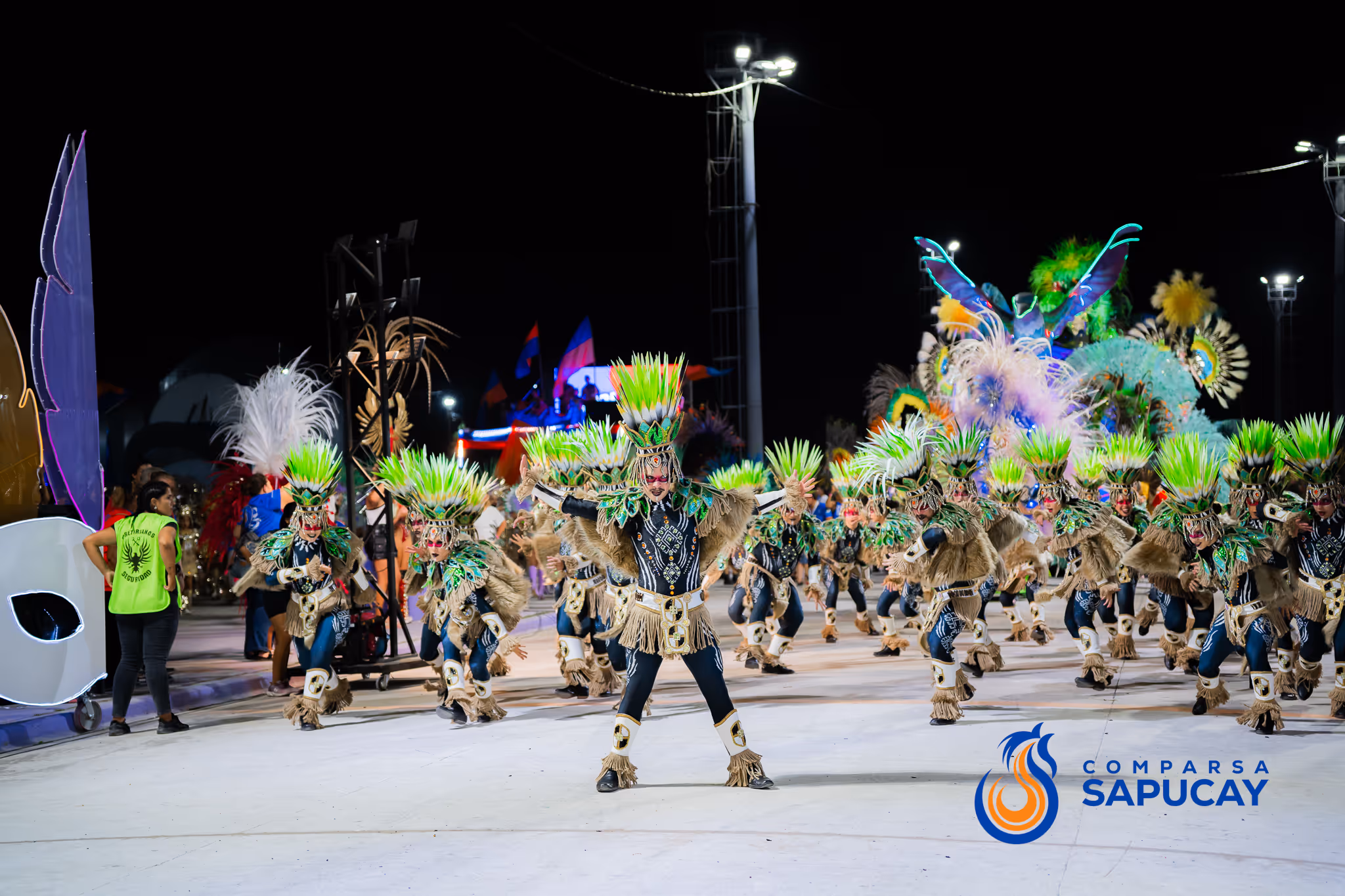 Galería de fotos del corso del Carnaval 2025