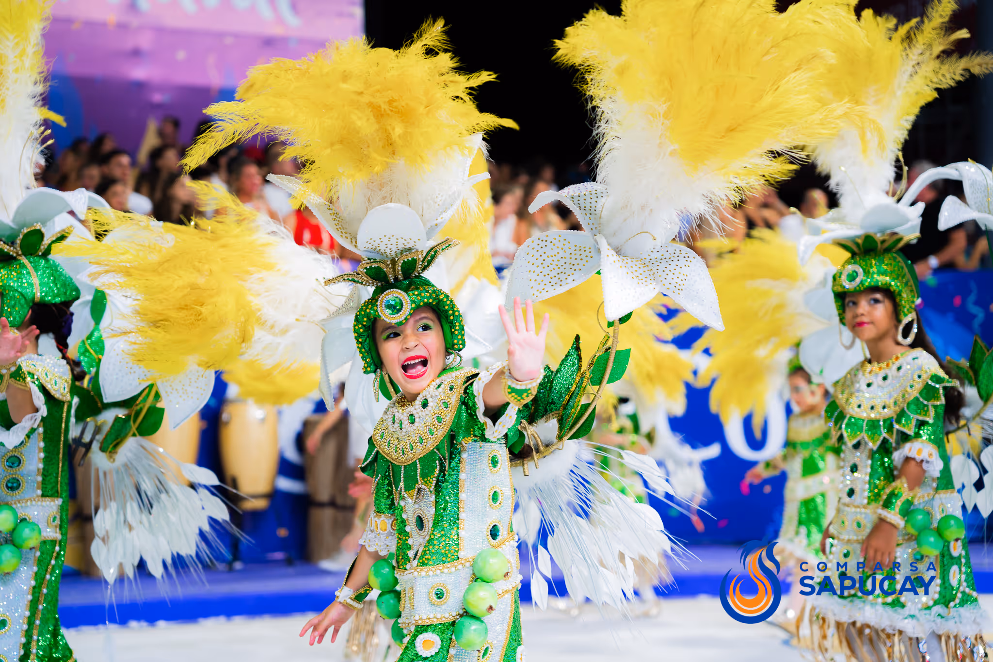 Galería de fotos del corso del Carnaval 2025