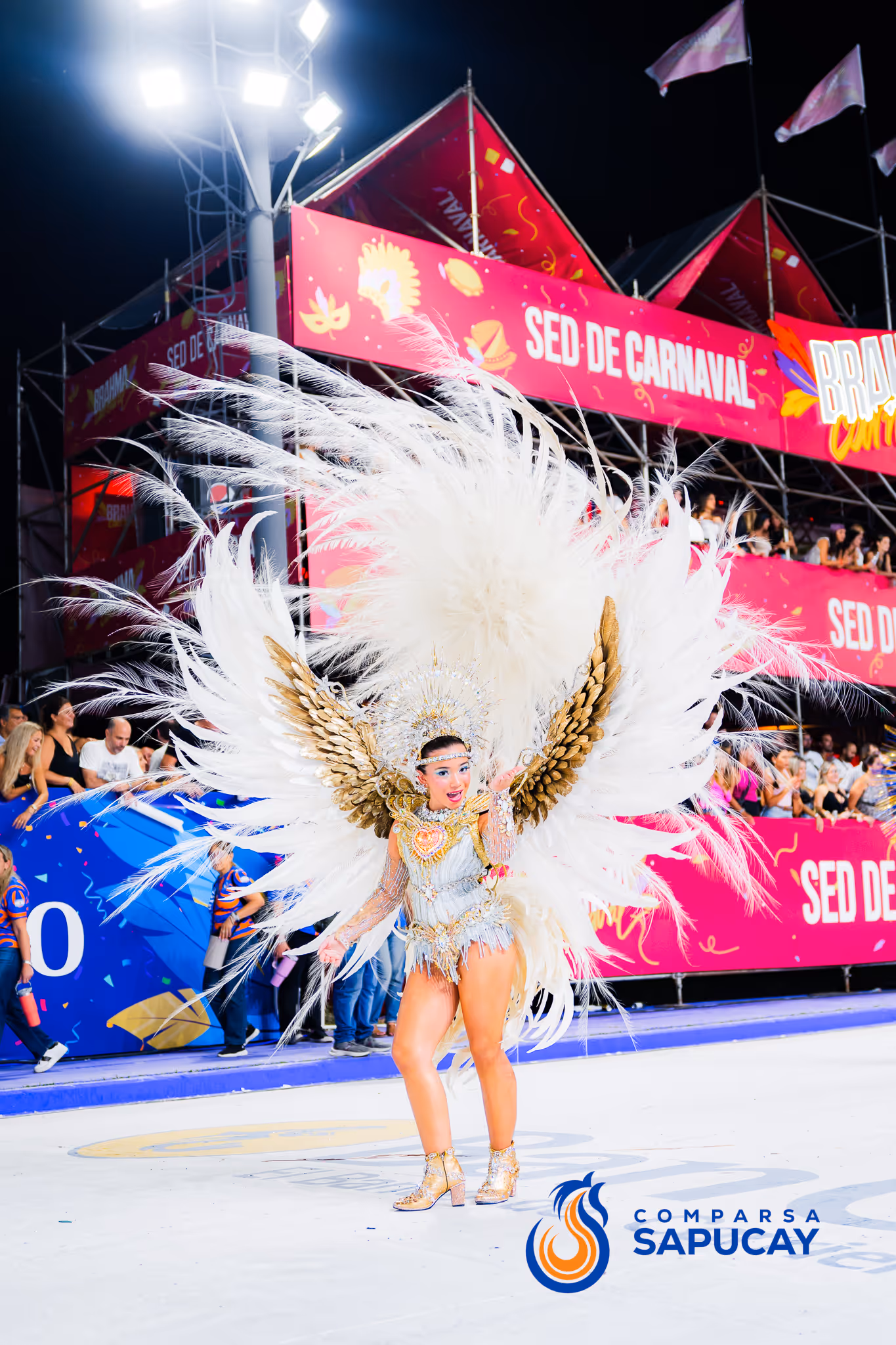 Galería de fotos del corso del Carnaval 2025