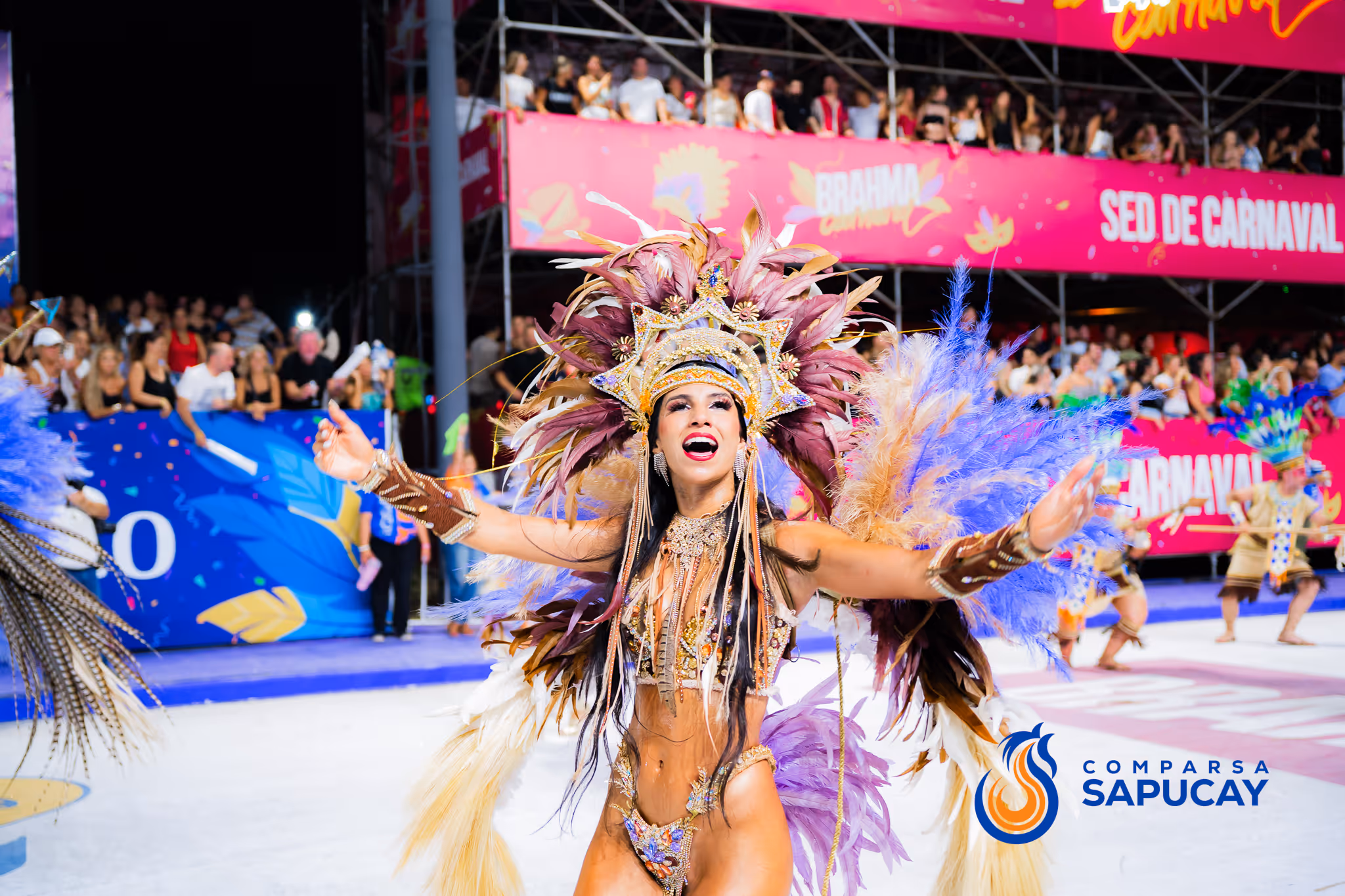 Galería de fotos del corso del Carnaval 2025