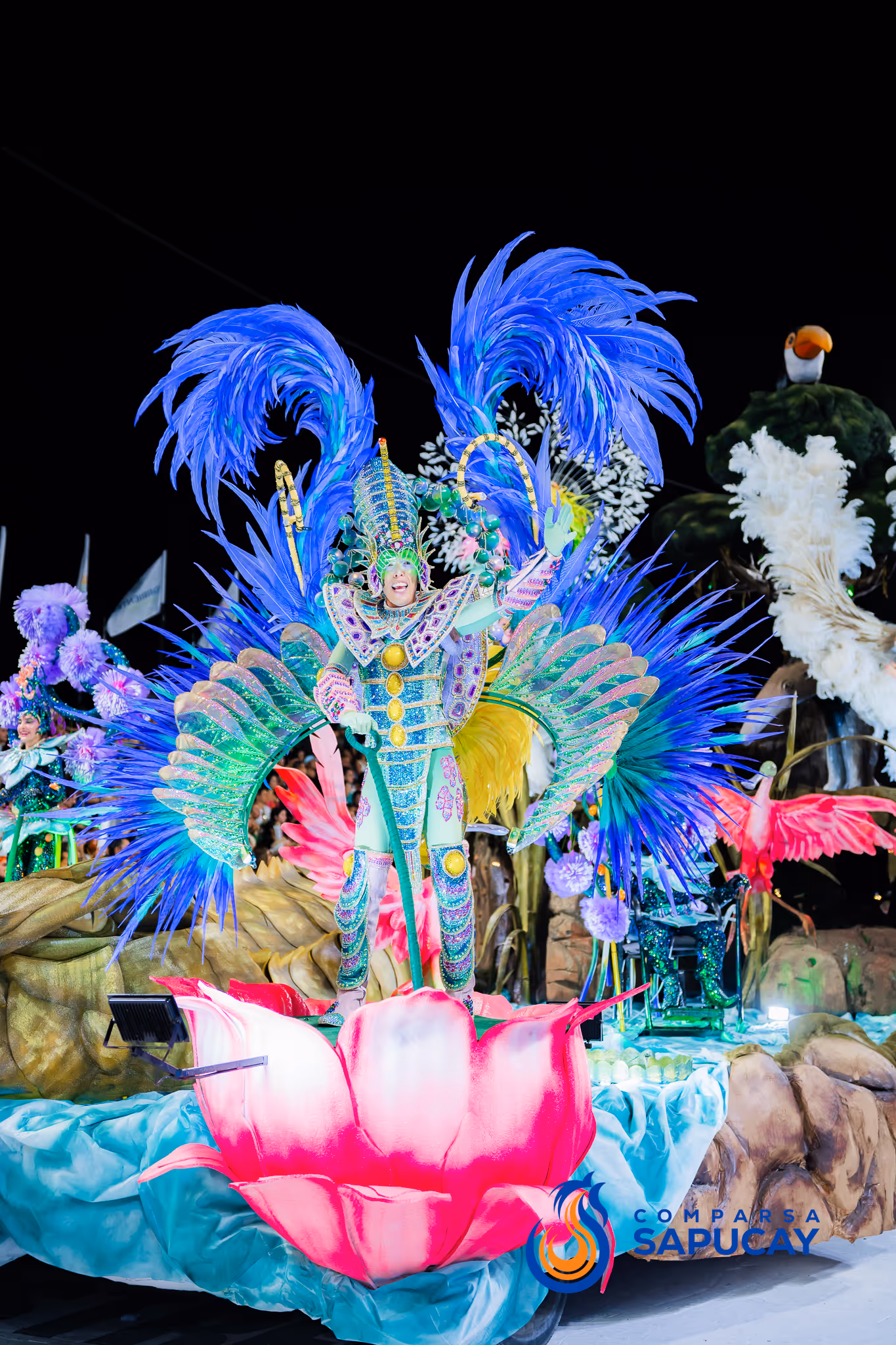 Galería de fotos del corso del Carnaval 2025