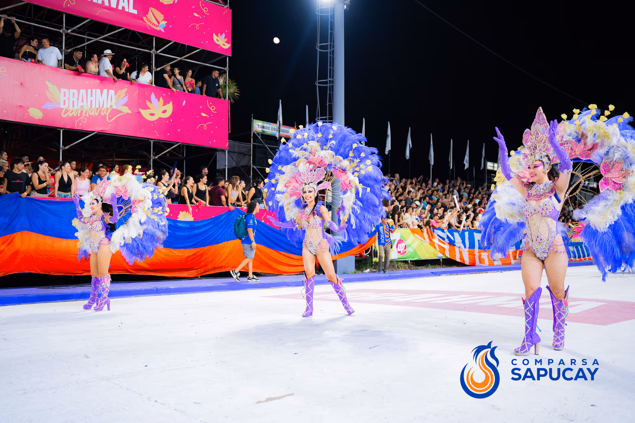 Galería de fotos del corso del Carnaval 2025