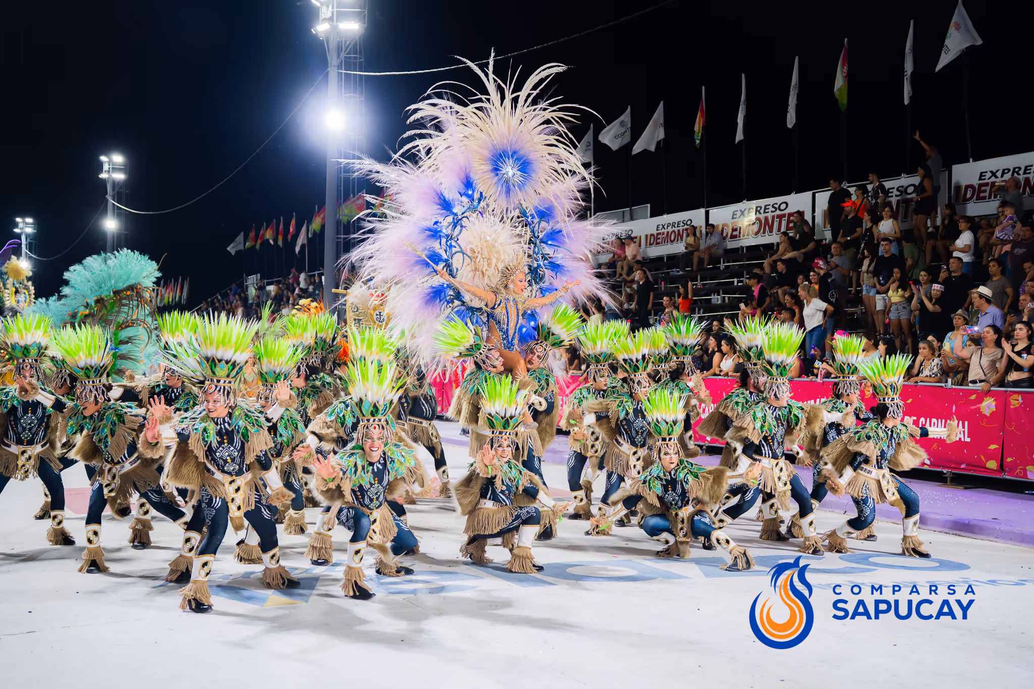 Galería de fotos del corso del Carnaval 2025