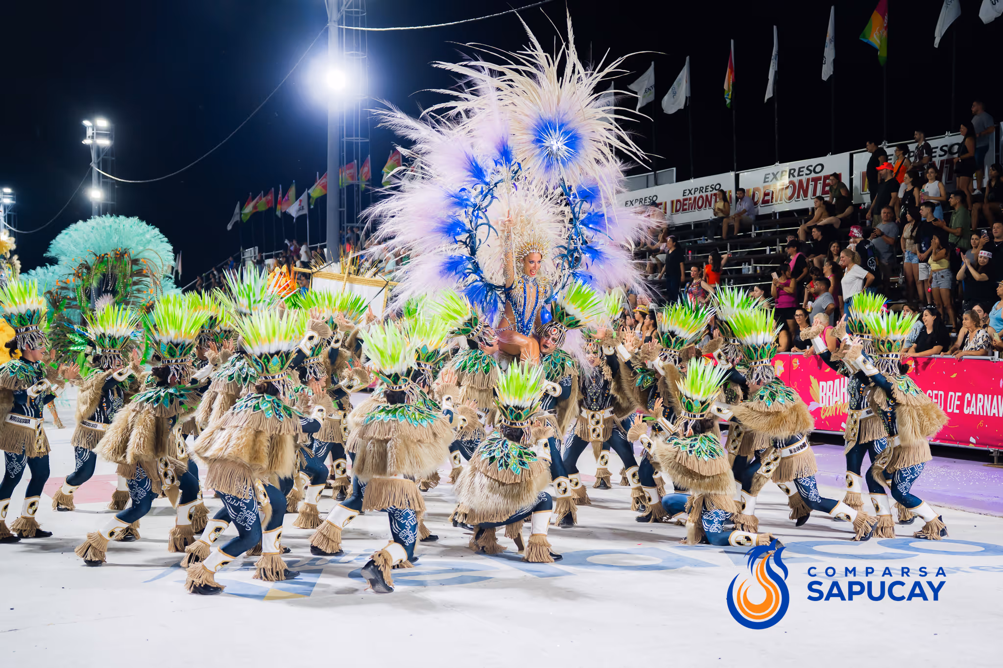 Galería de fotos del corso del Carnaval 2025