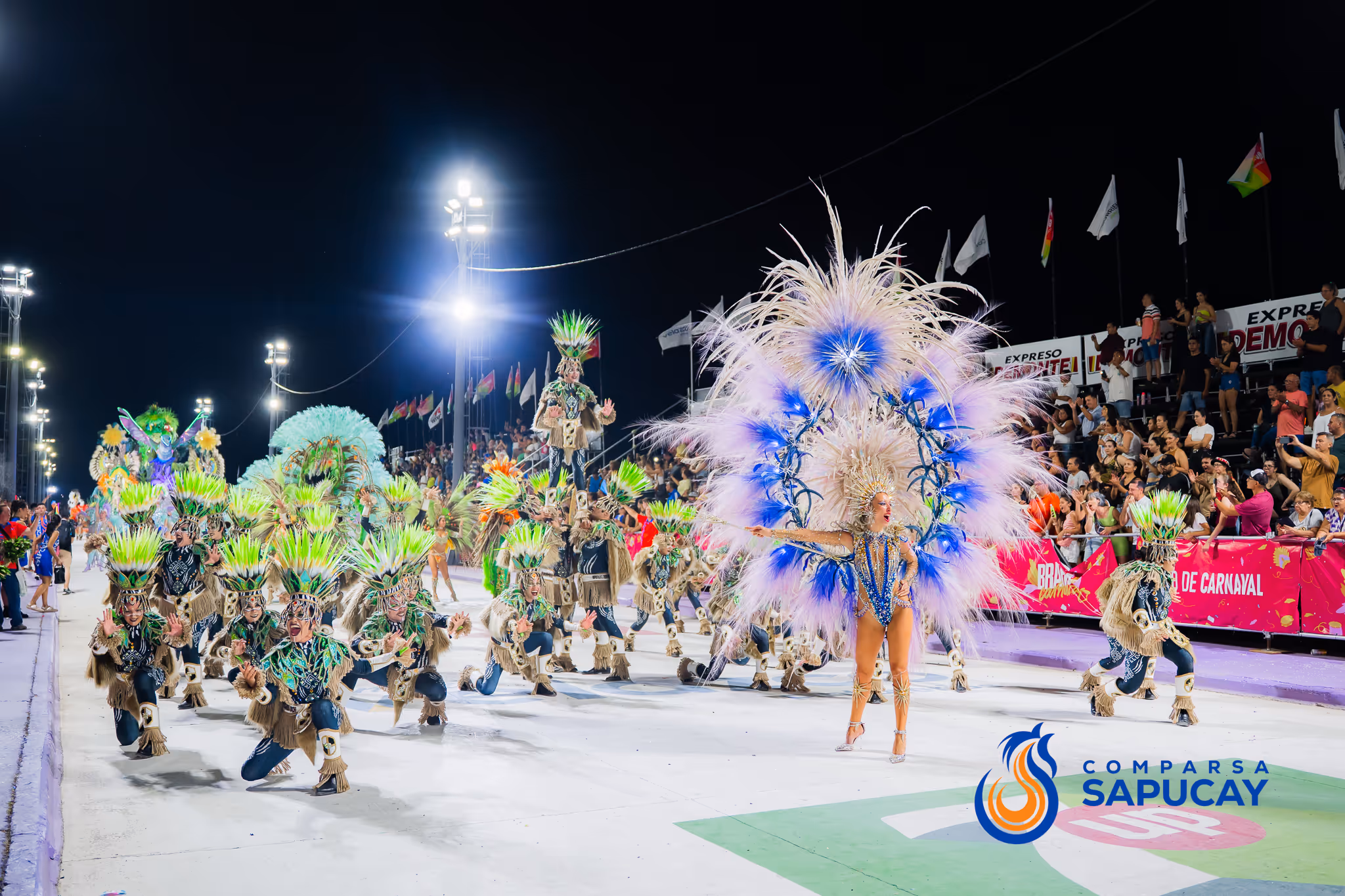Galería de fotos del corso del Carnaval 2025