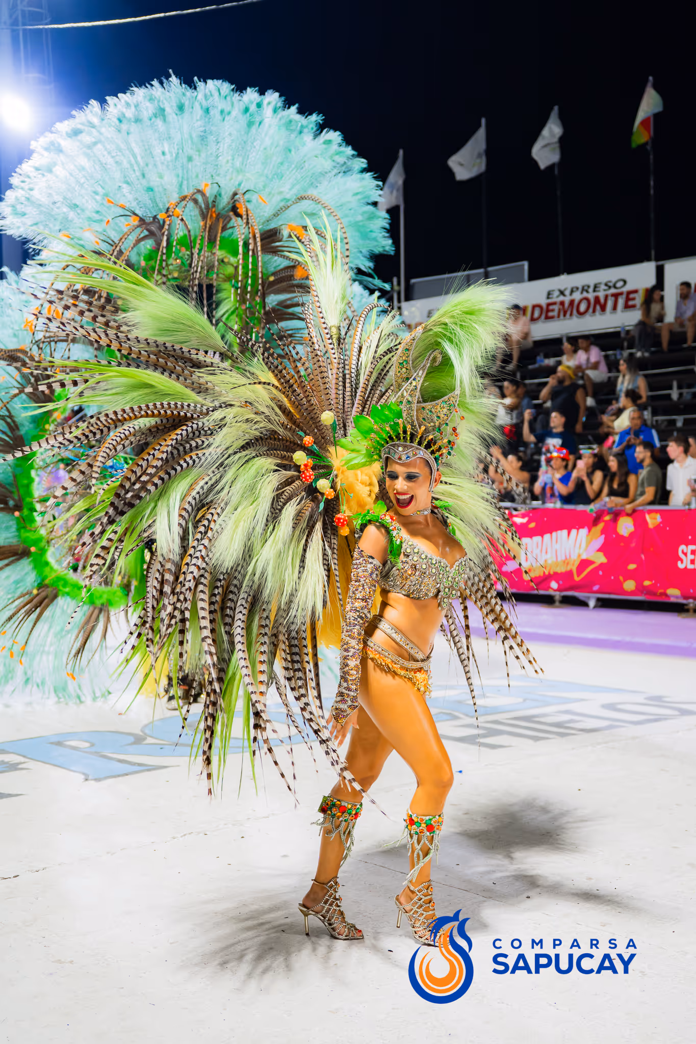 Galería de fotos del corso del Carnaval 2025
