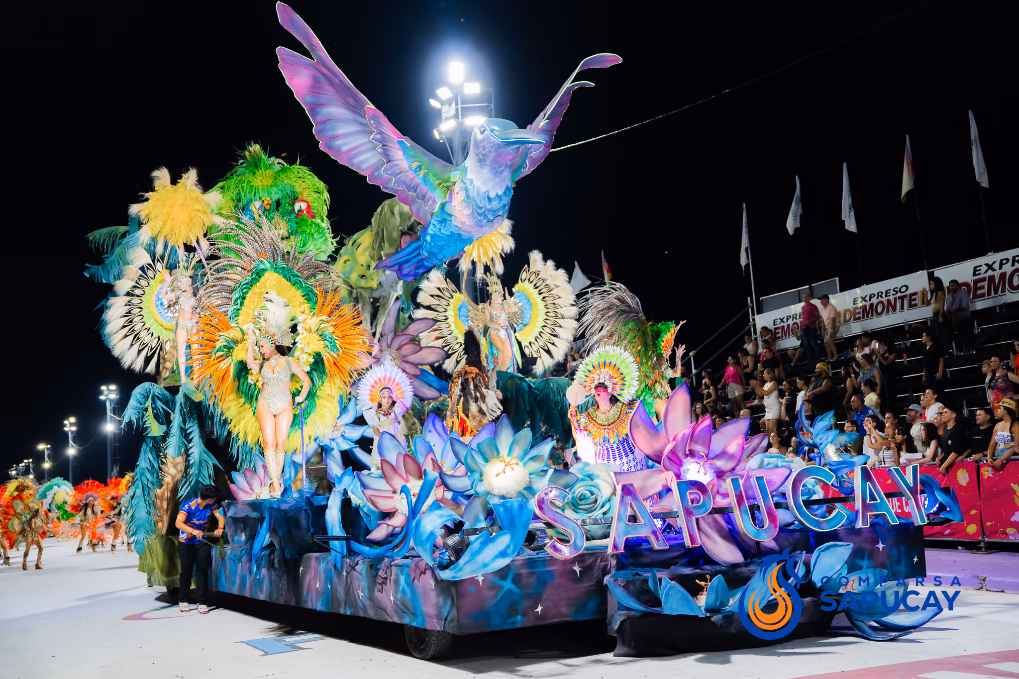 Galería de fotos del corso del Carnaval 2025