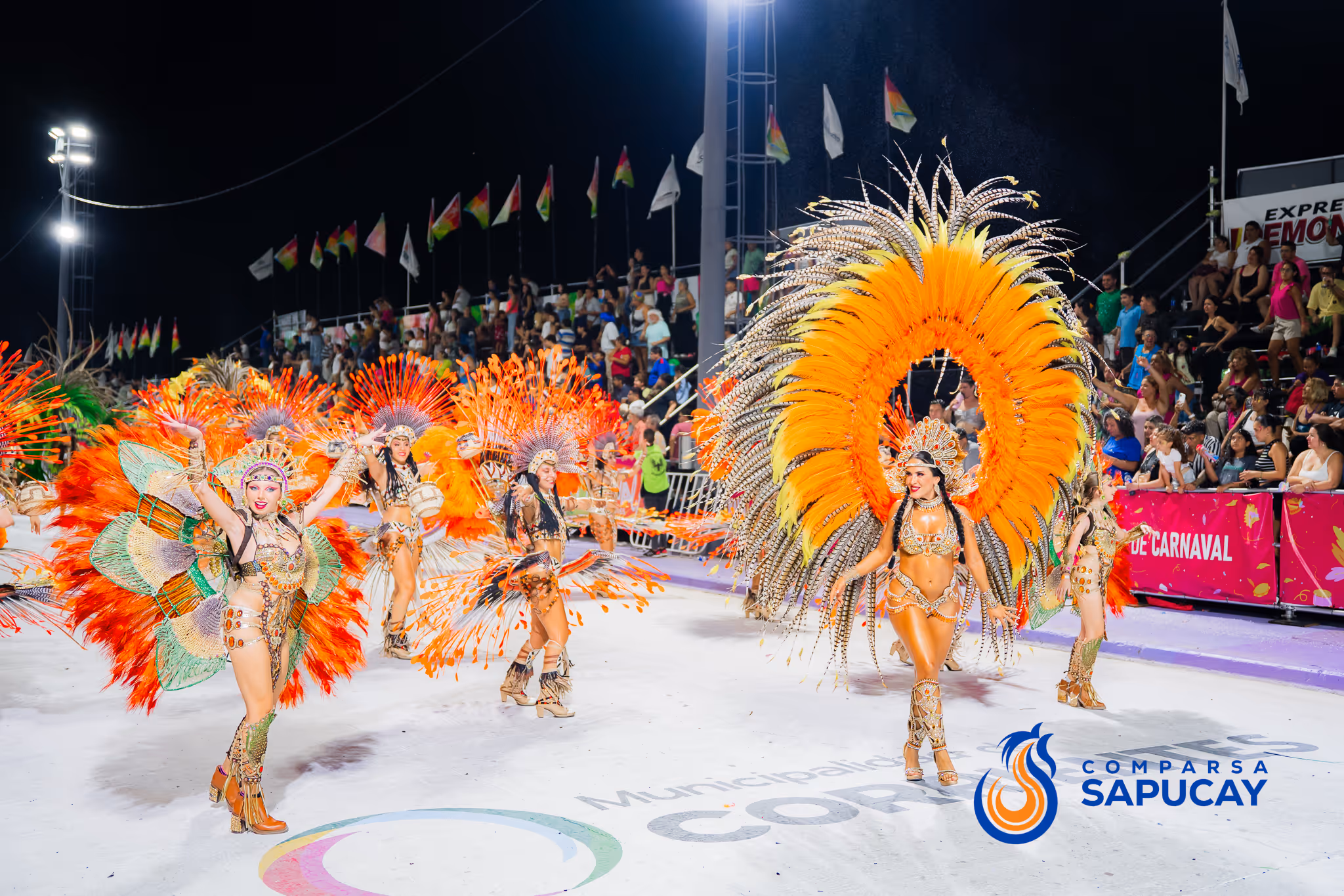 Galería de fotos del corso del Carnaval 2025