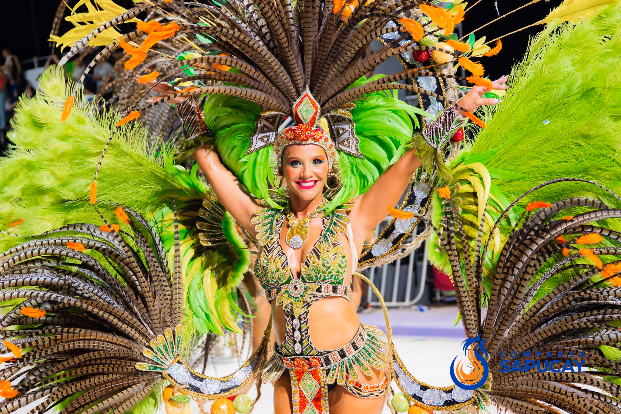 Galería de fotos del corso del Carnaval 2025