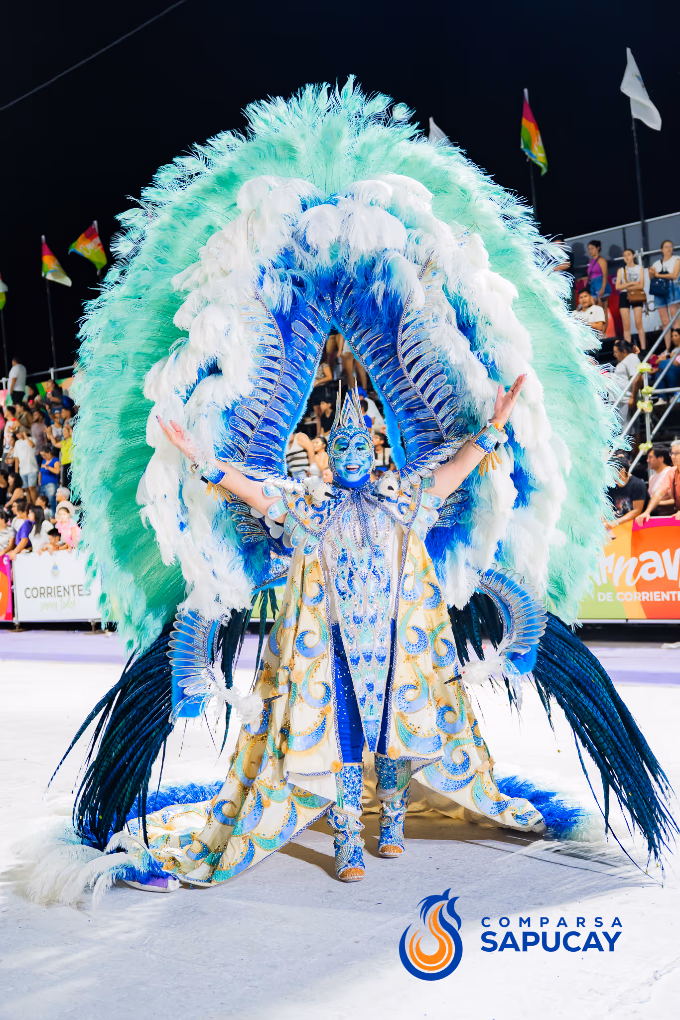Galería de fotos del corso del Carnaval 2025