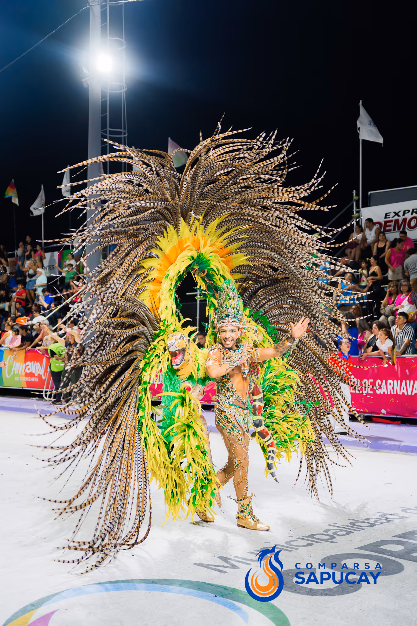 Galería de fotos del corso del Carnaval 2025