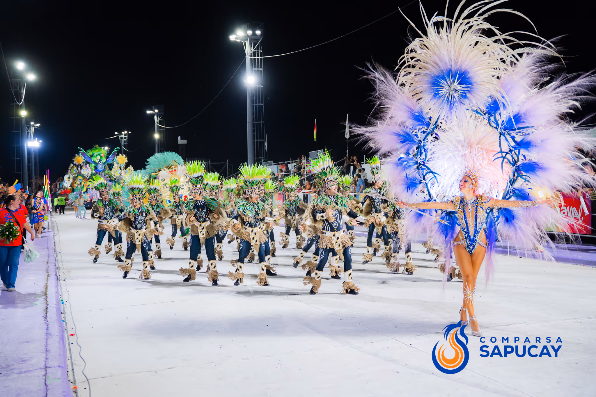Galería de fotos del corso del Carnaval 2025