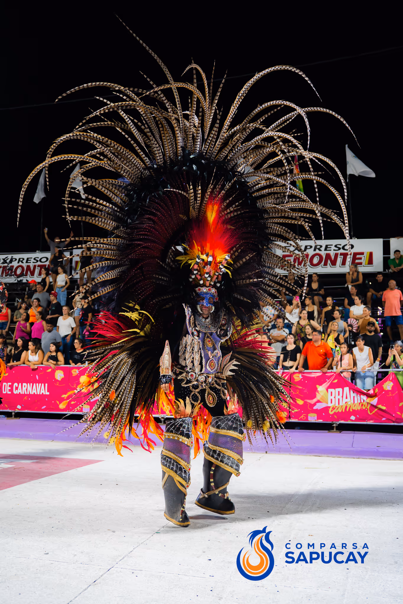 Galería de fotos del corso del Carnaval 2025