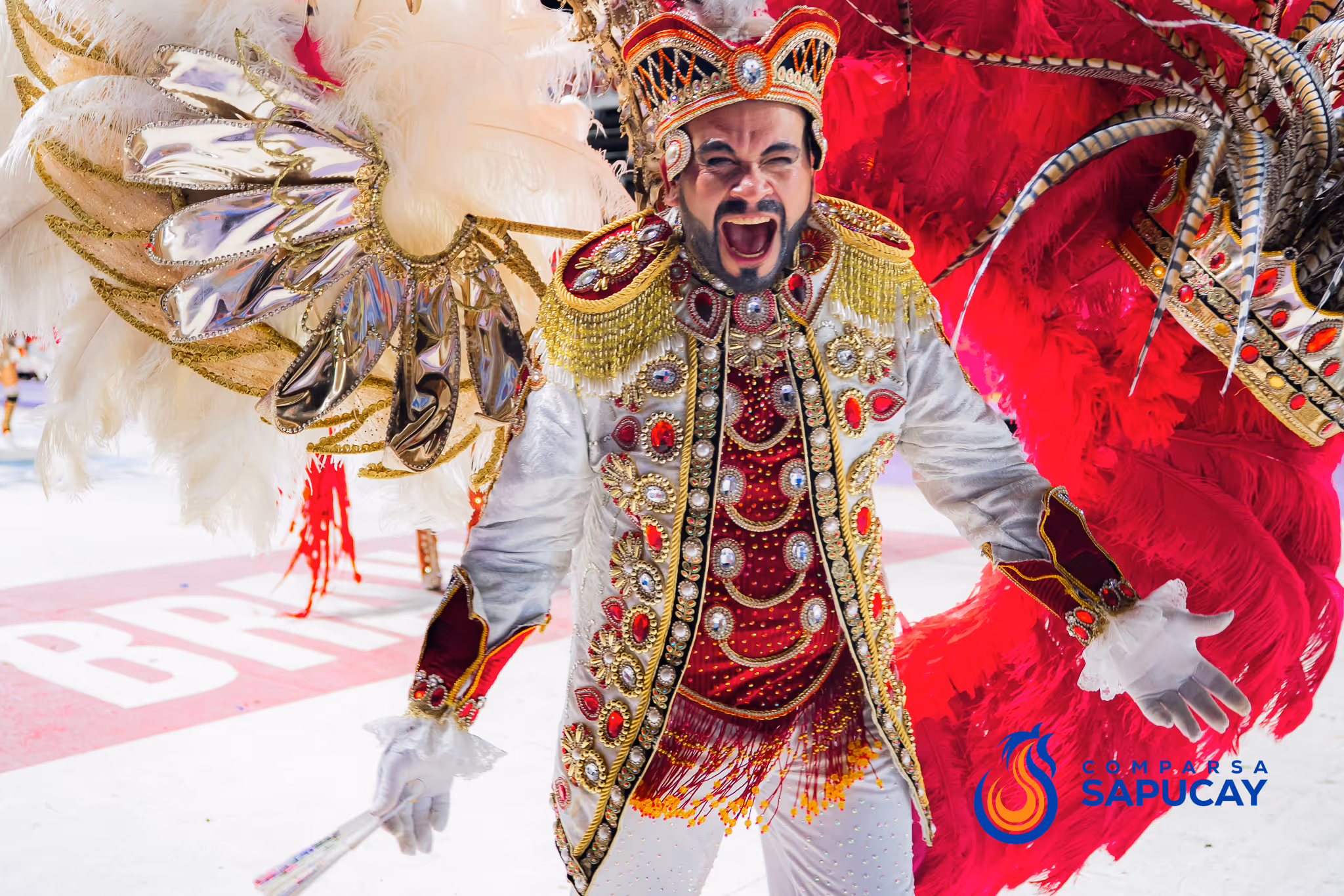 Galería de fotos del corso del Carnaval 2025