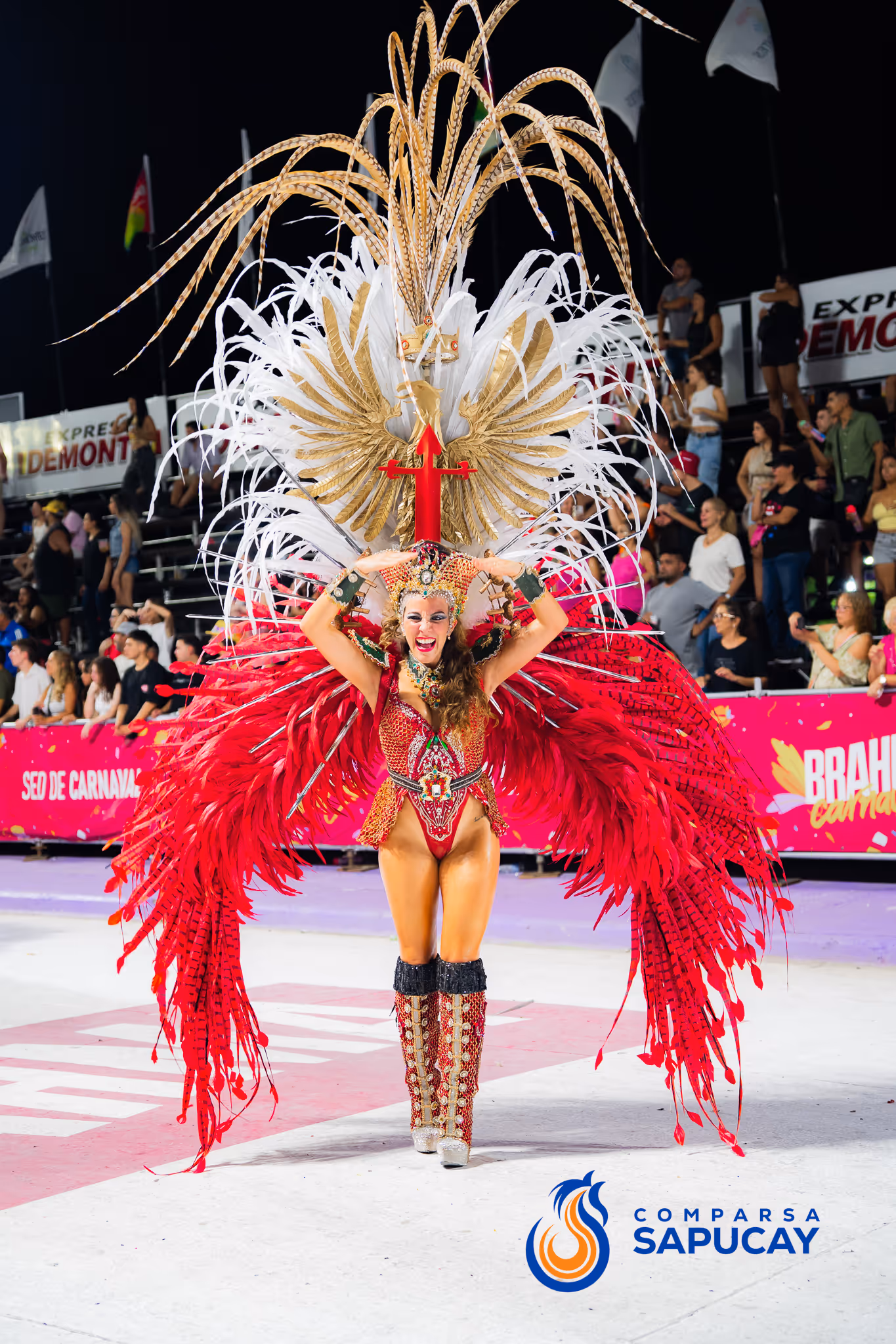 Galería de fotos del corso del Carnaval 2025