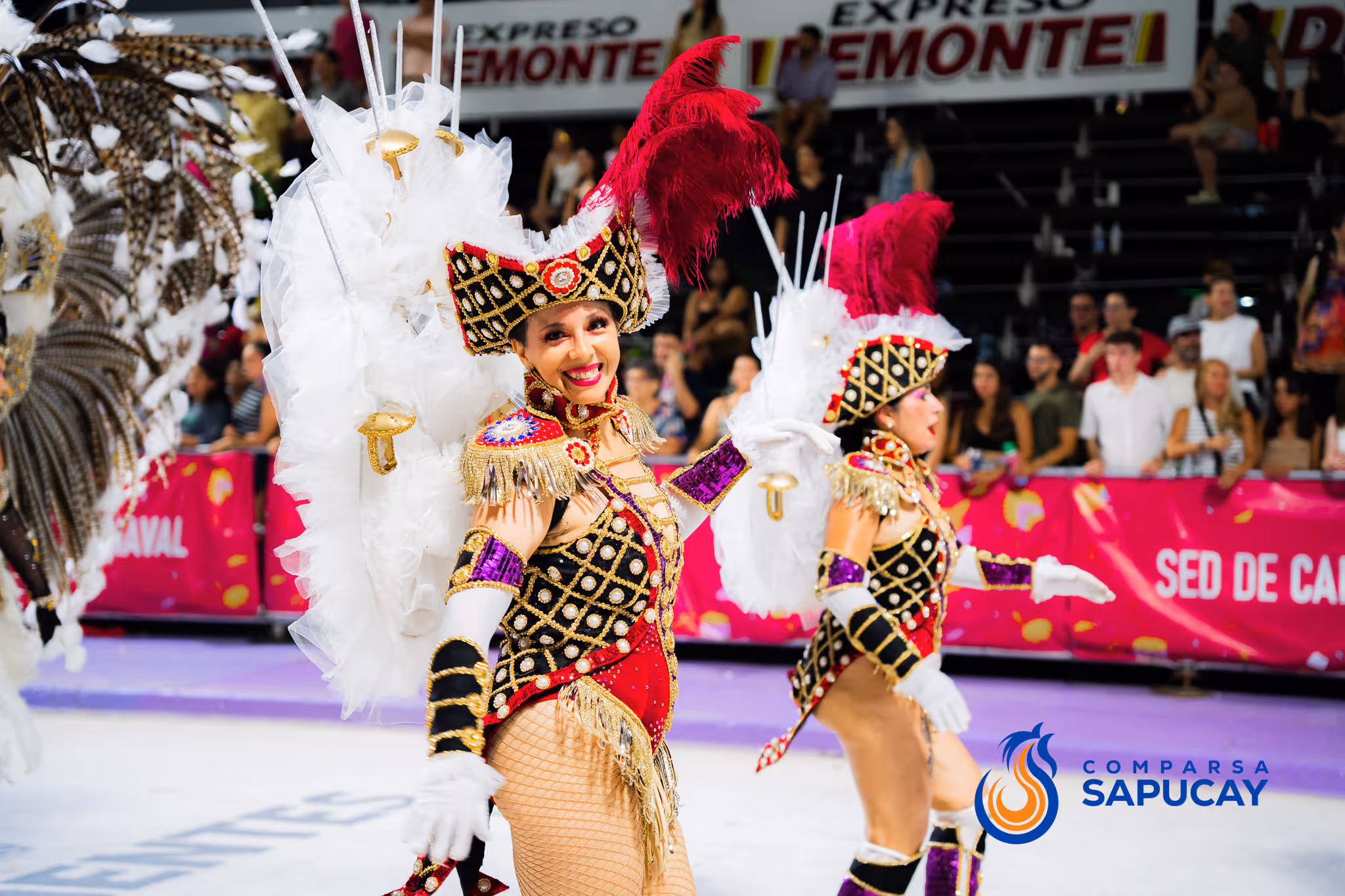 Galería de fotos del corso del Carnaval 2025