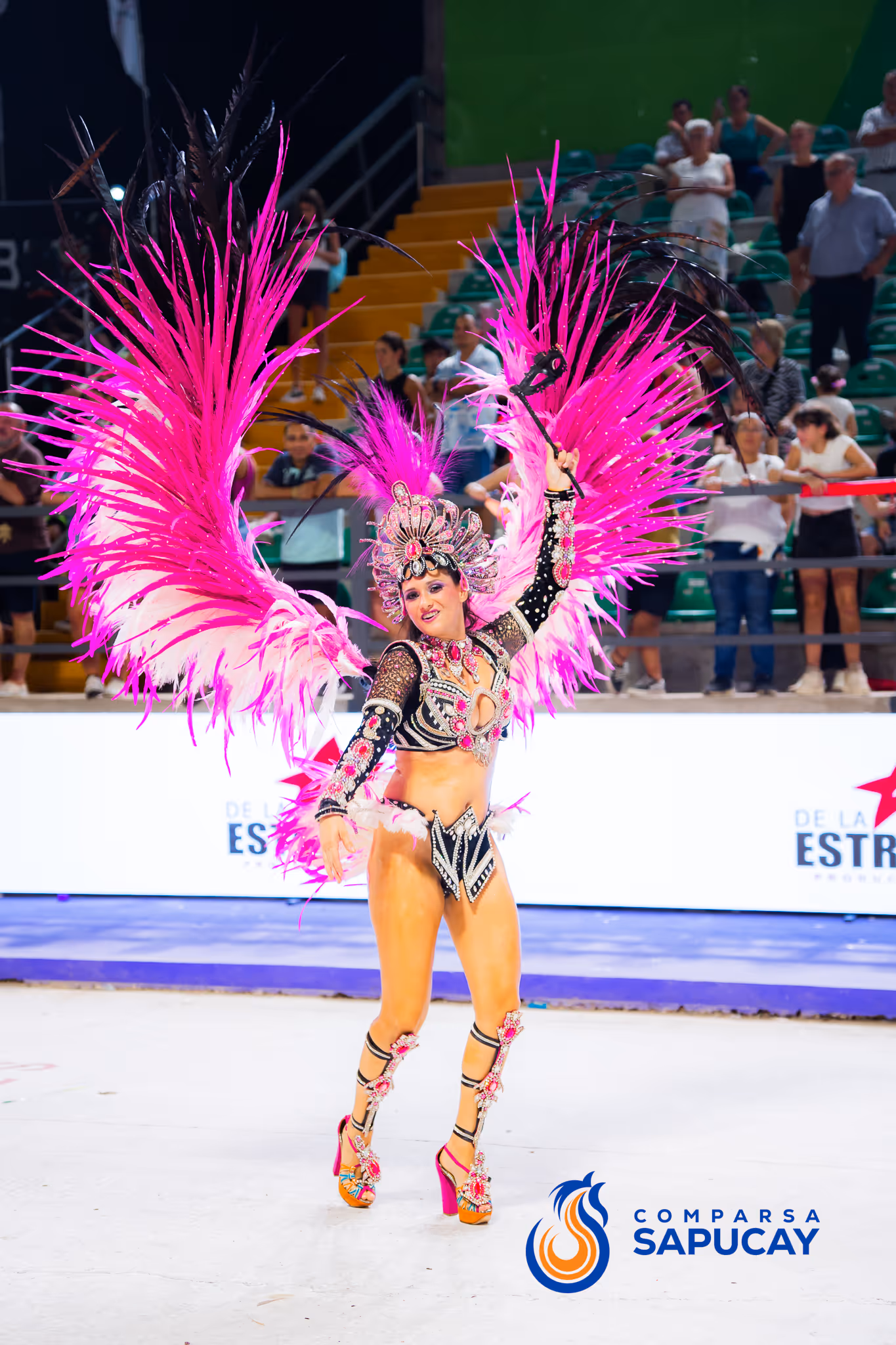 Galería de fotos del corso del Carnaval 2025