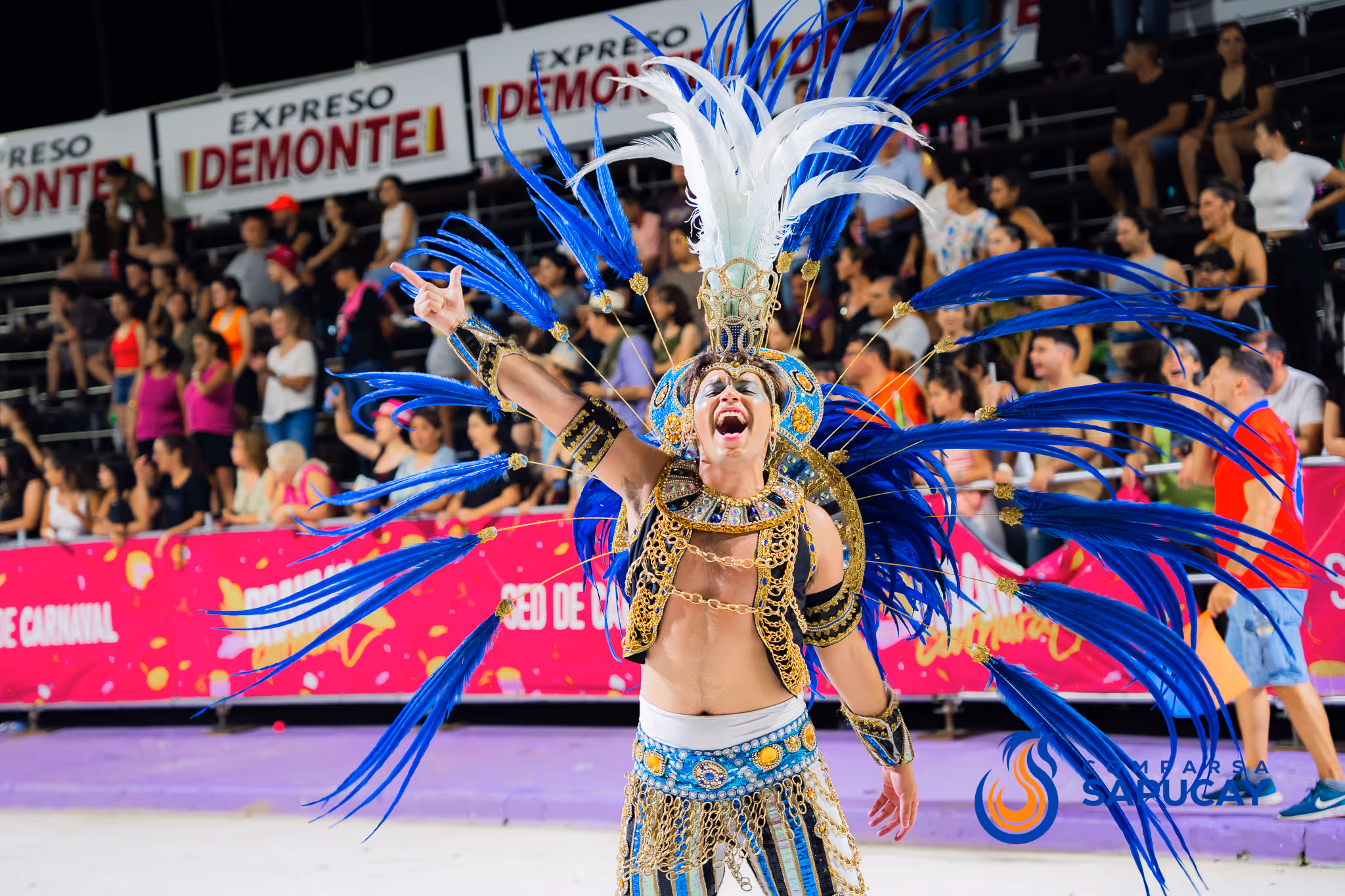 Galería de fotos del corso del Carnaval 2025