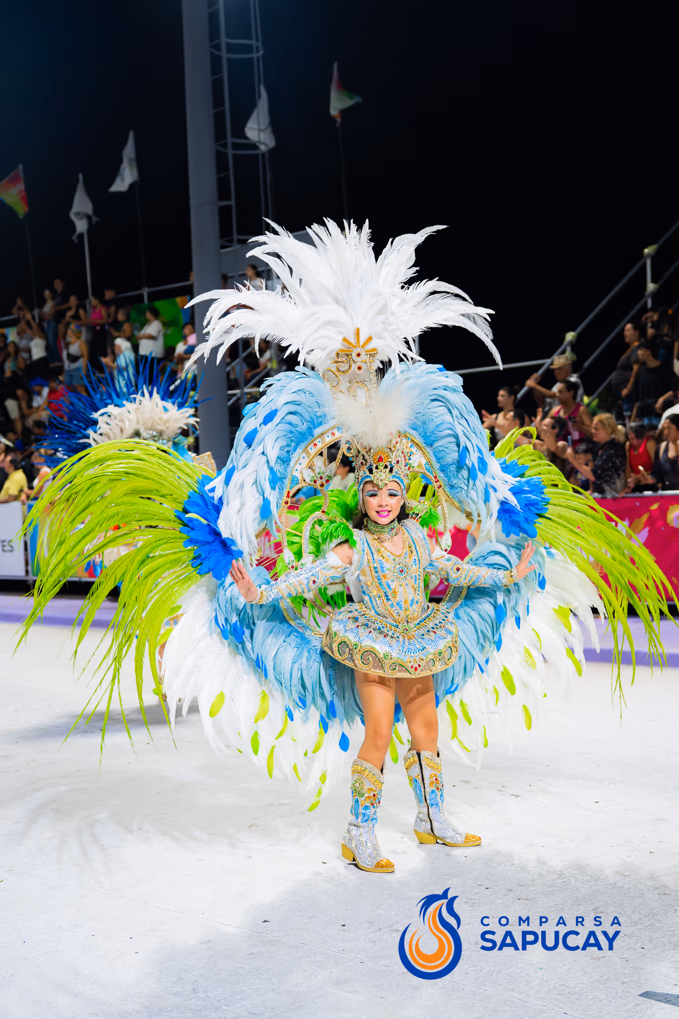 Galería de fotos del corso del Carnaval 2025