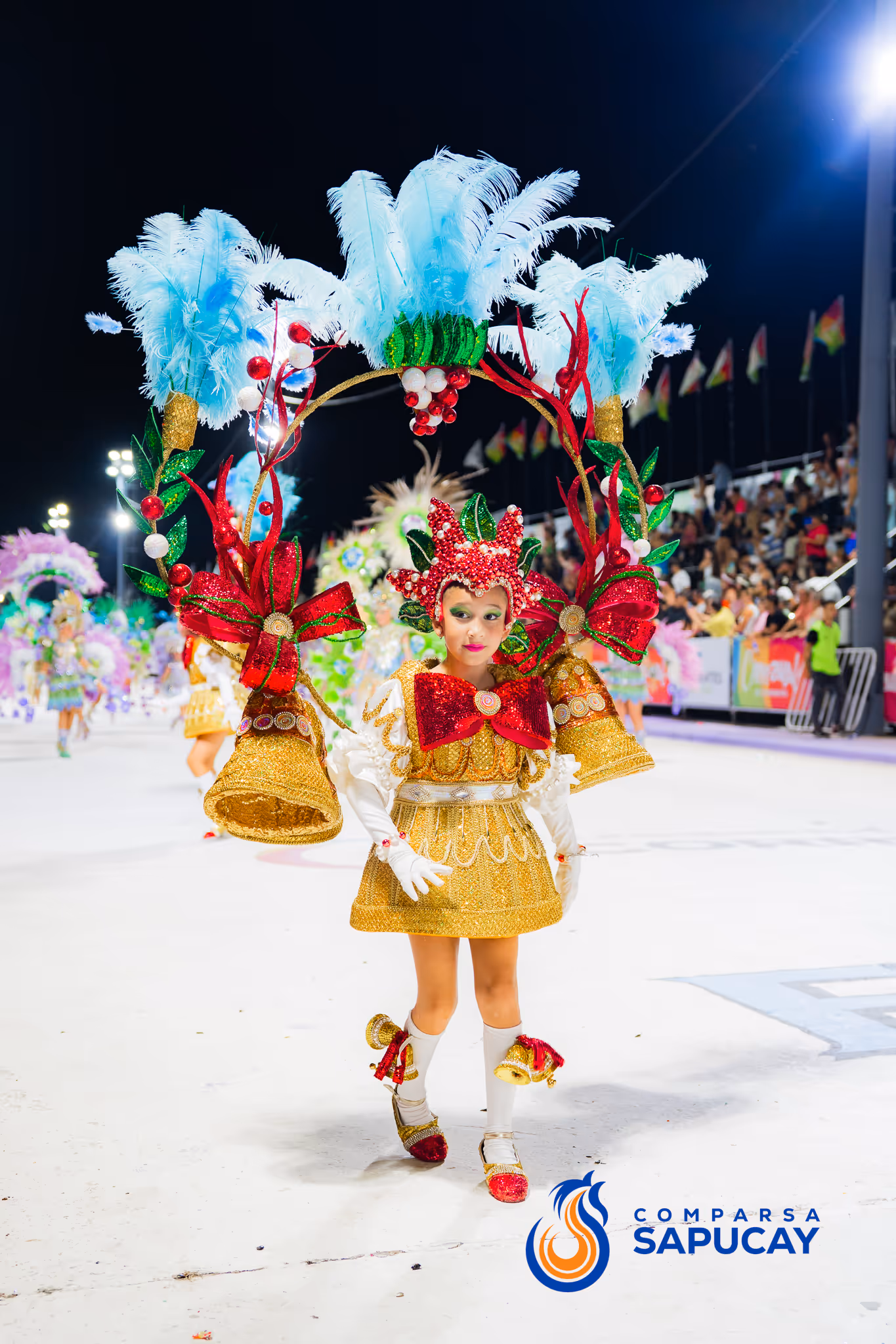 Galería de fotos del corso del Carnaval 2025