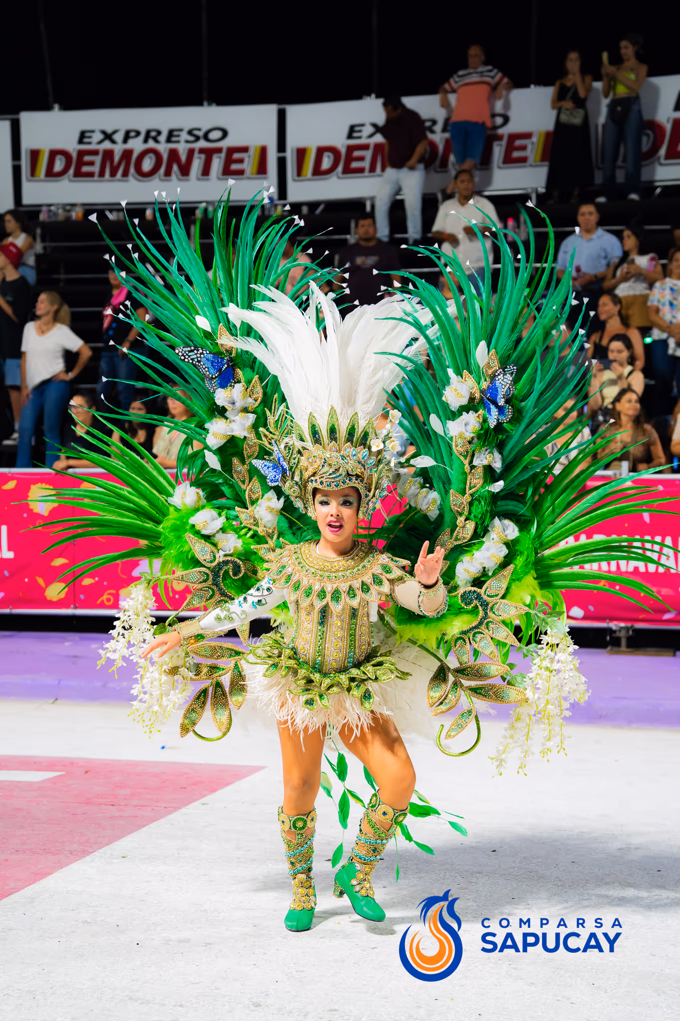 Galería de fotos del corso del Carnaval 2025