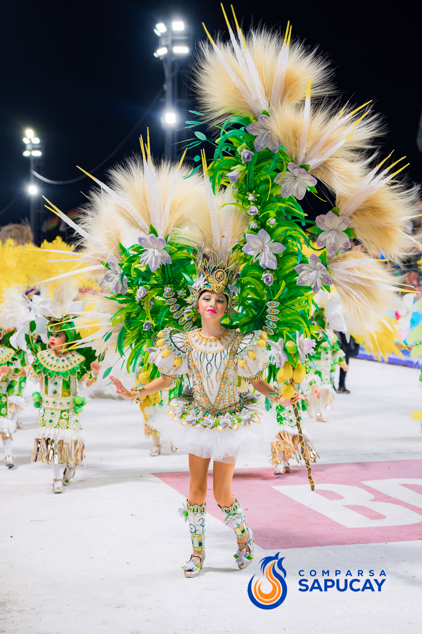 Galería de fotos del corso del Carnaval 2025