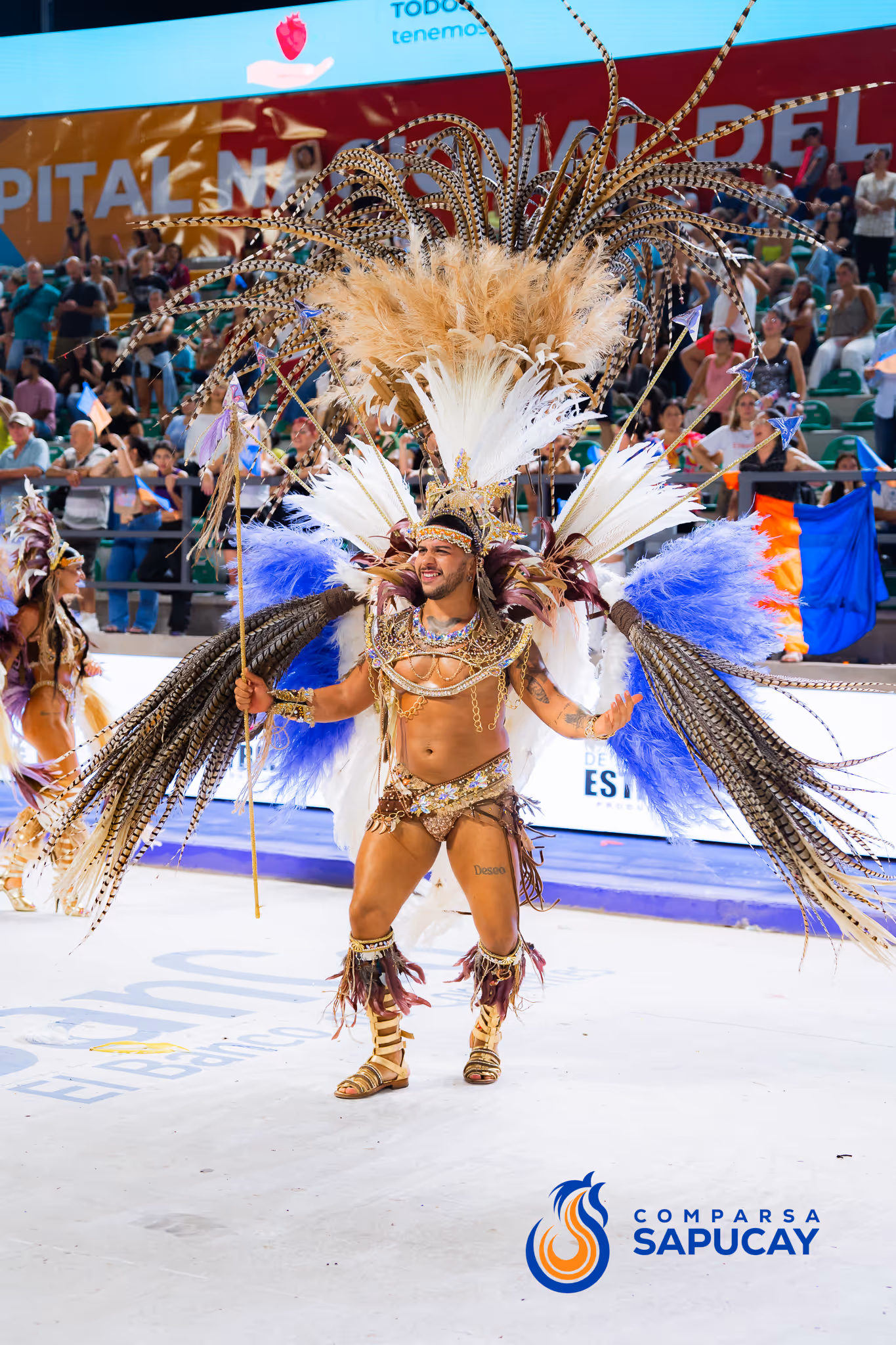 Galería de fotos del corso del Carnaval 2025